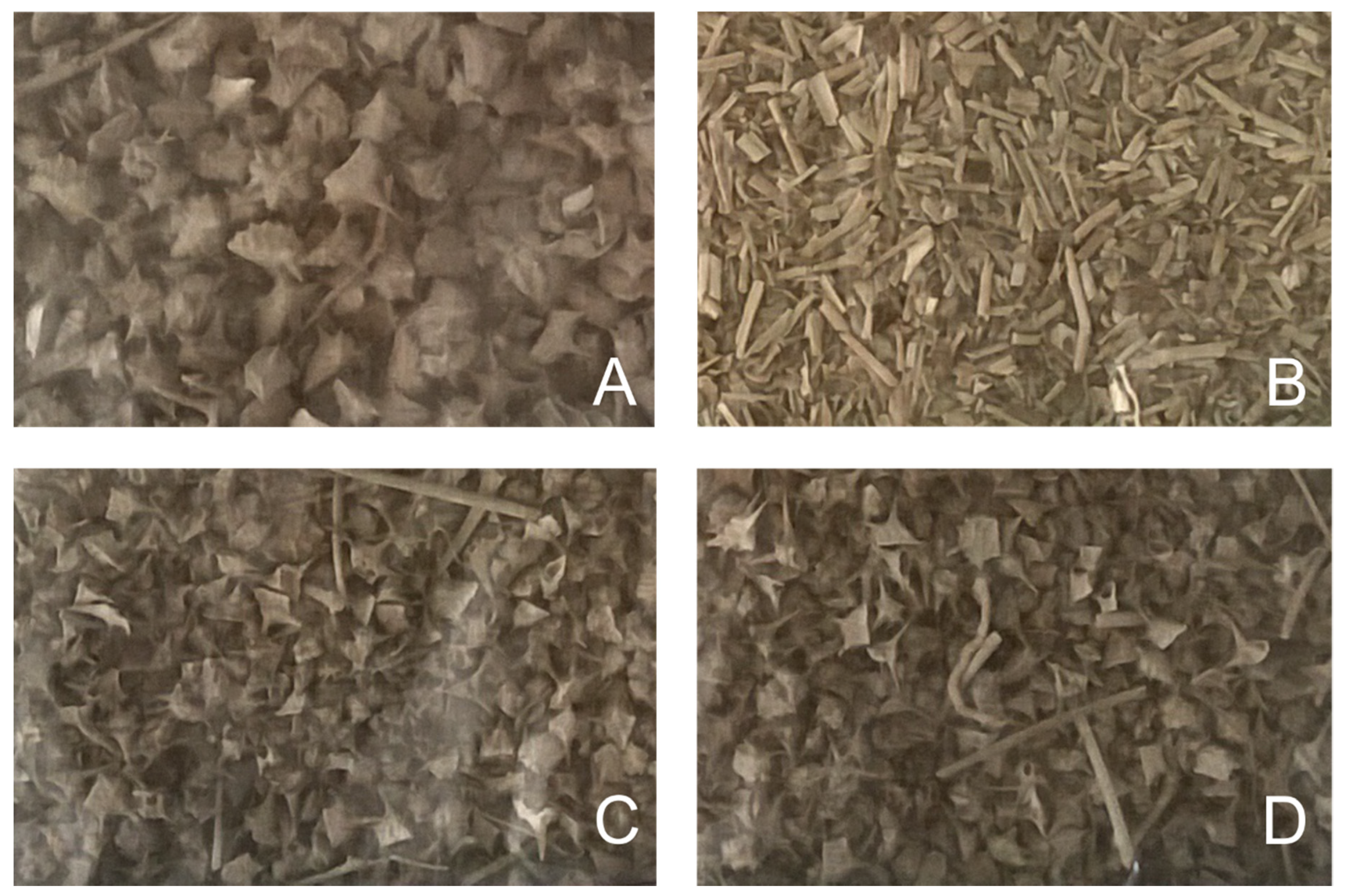 Molecules 25 03274 g008