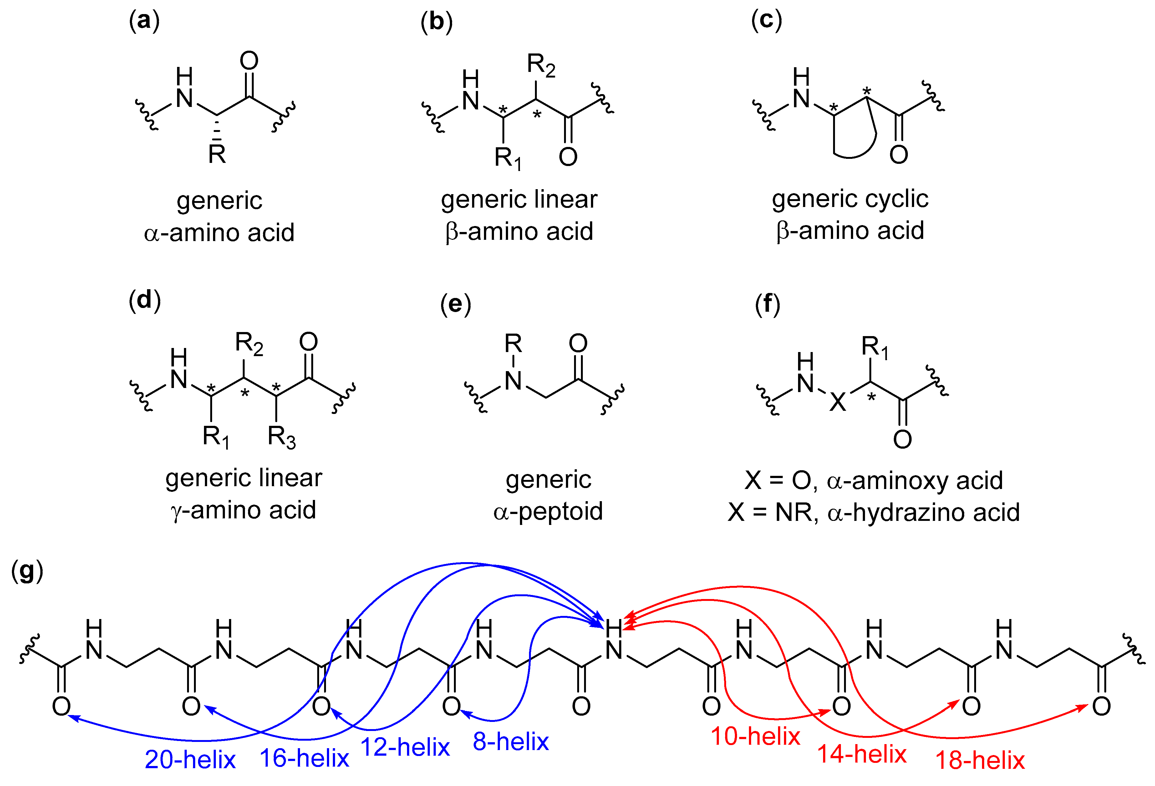 Molecules Free Full Text The Diverse World Of Foldamers Endless Possibilities Of Self Assembly Html