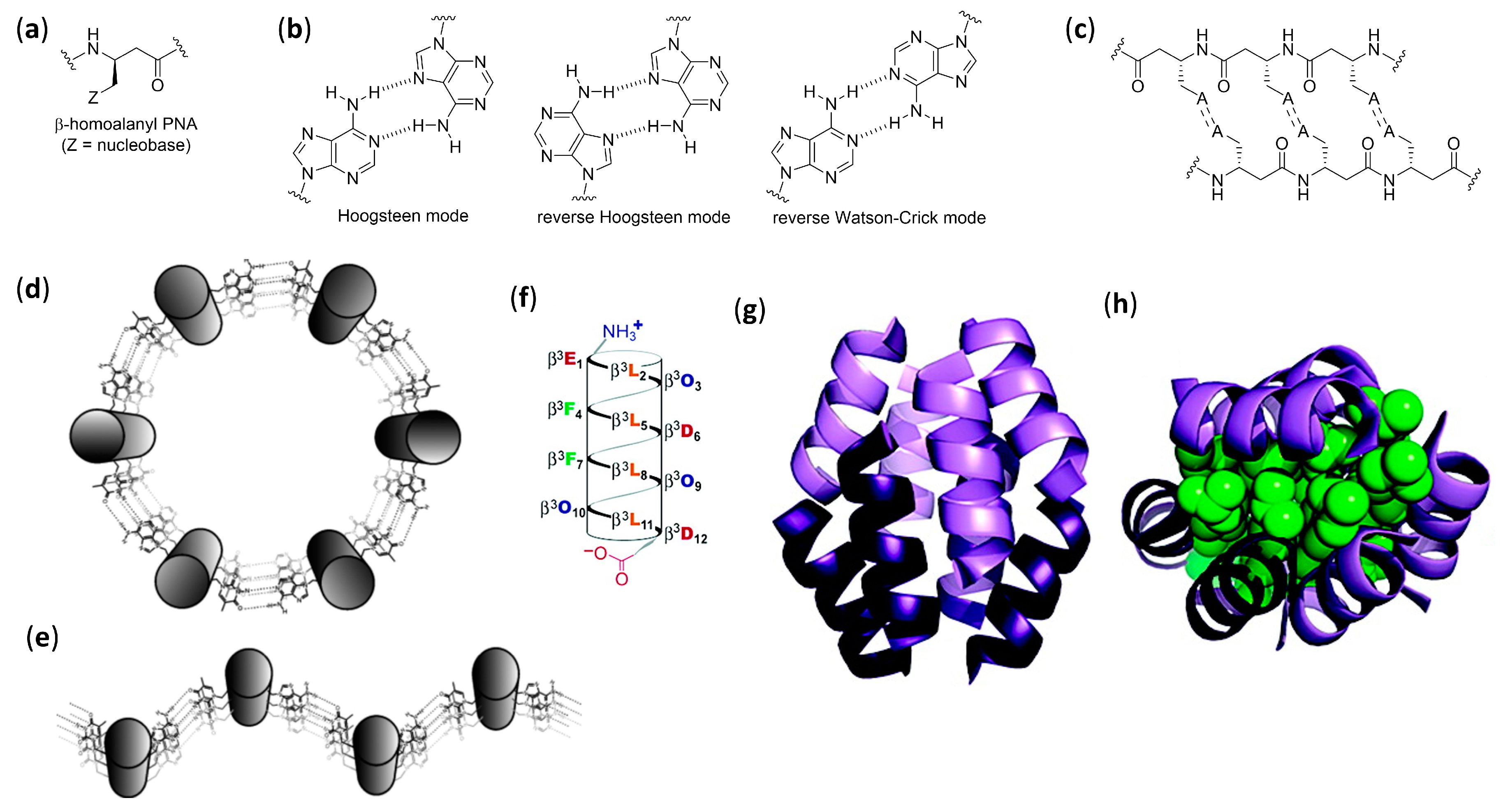 Molecules Free Full Text The Diverse World Of Foldamers Endless Possibilities Of Self Assembly Html