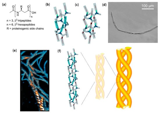 Molecules Free Full Text The Diverse World Of Foldamers Endless Possibilities Of Self Assembly Html Molecules Free Full Text The Diverse World Of Foldamers Endless Possibilities Of Self Assembly Html
