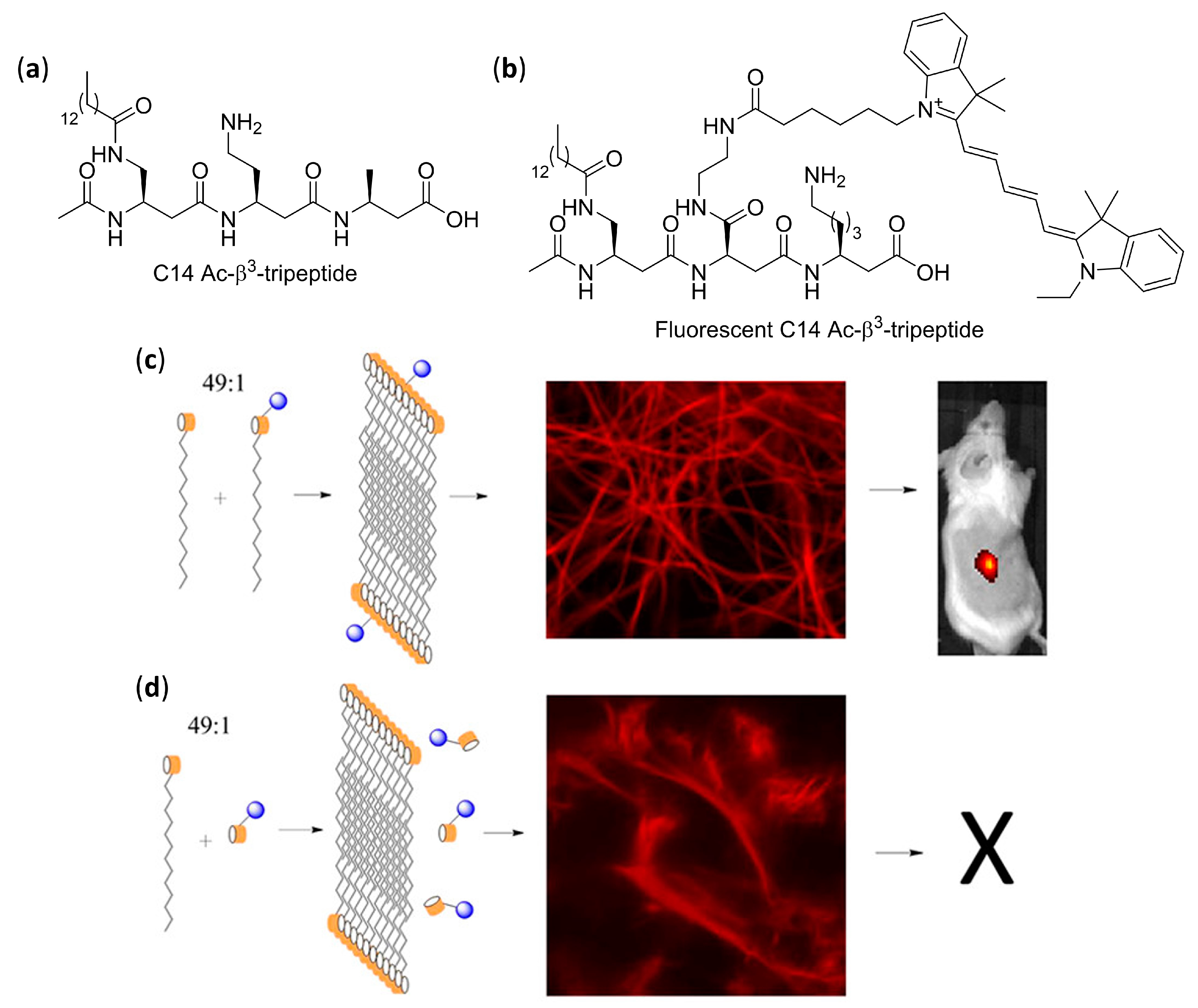 Molecules 25 03276 g007 Molecules 25 03276 g007