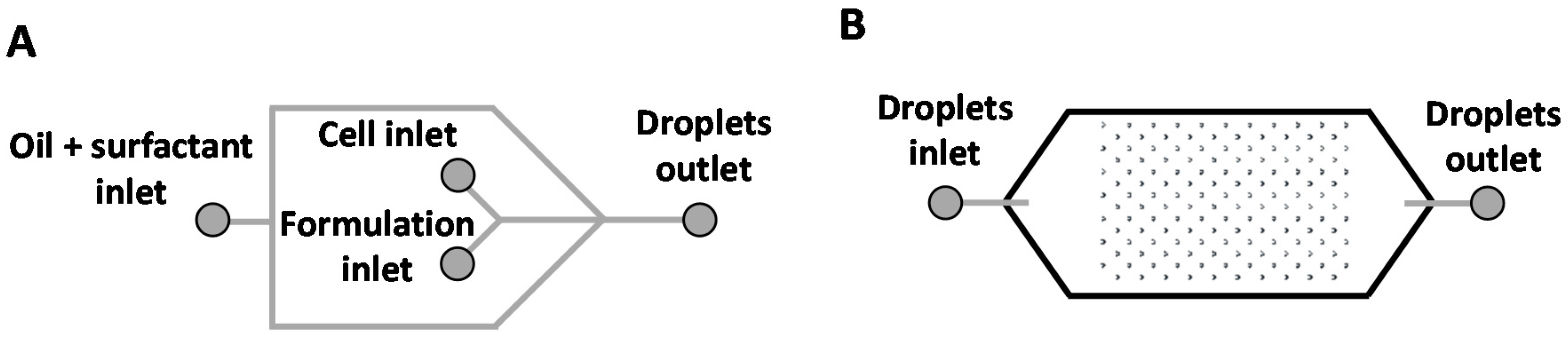 Molecules 25 03277 g008 Molecules 25 03277 g008