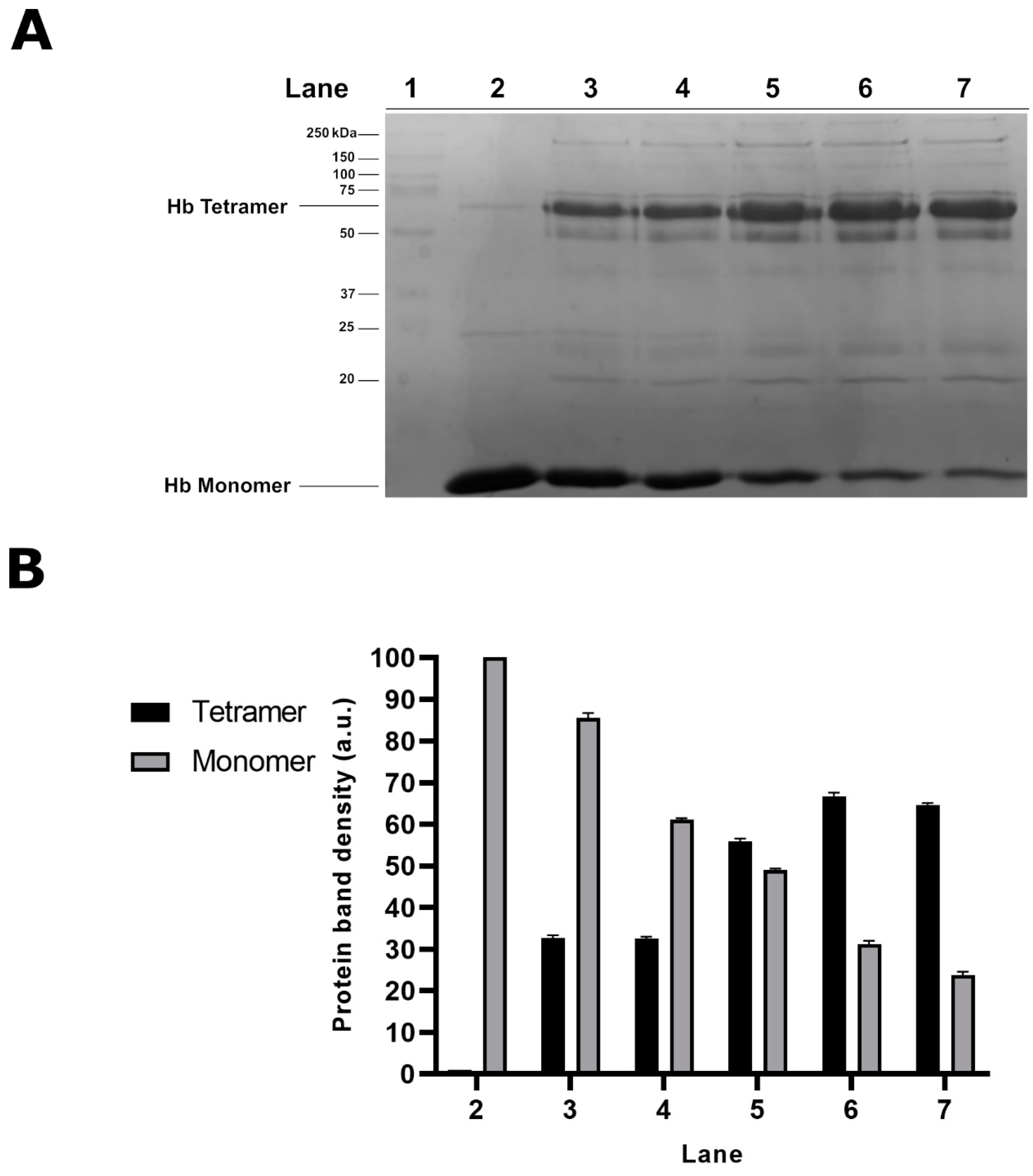 Molecules 25 03278 g001
