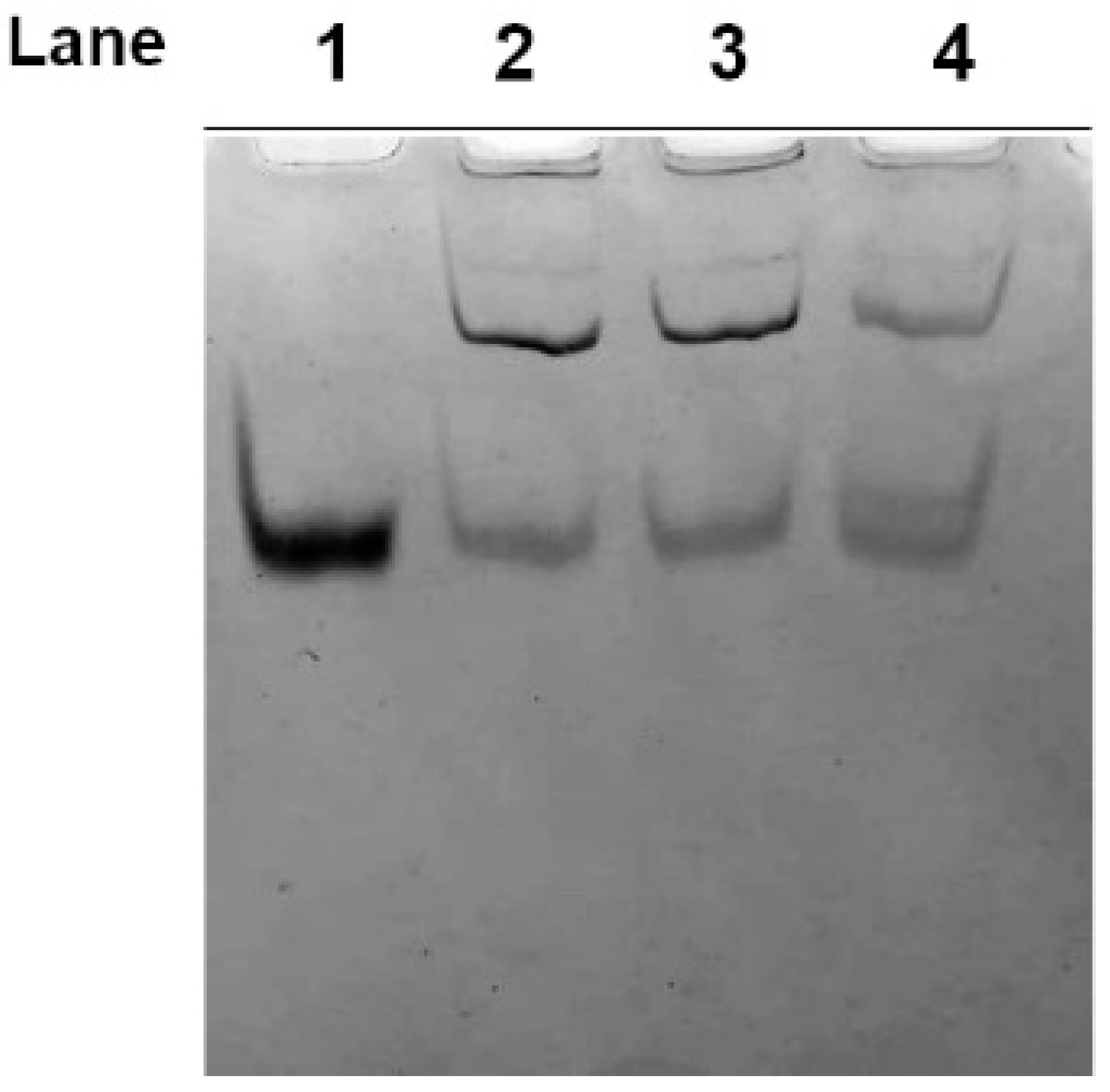 Molecules 25 03278 g002