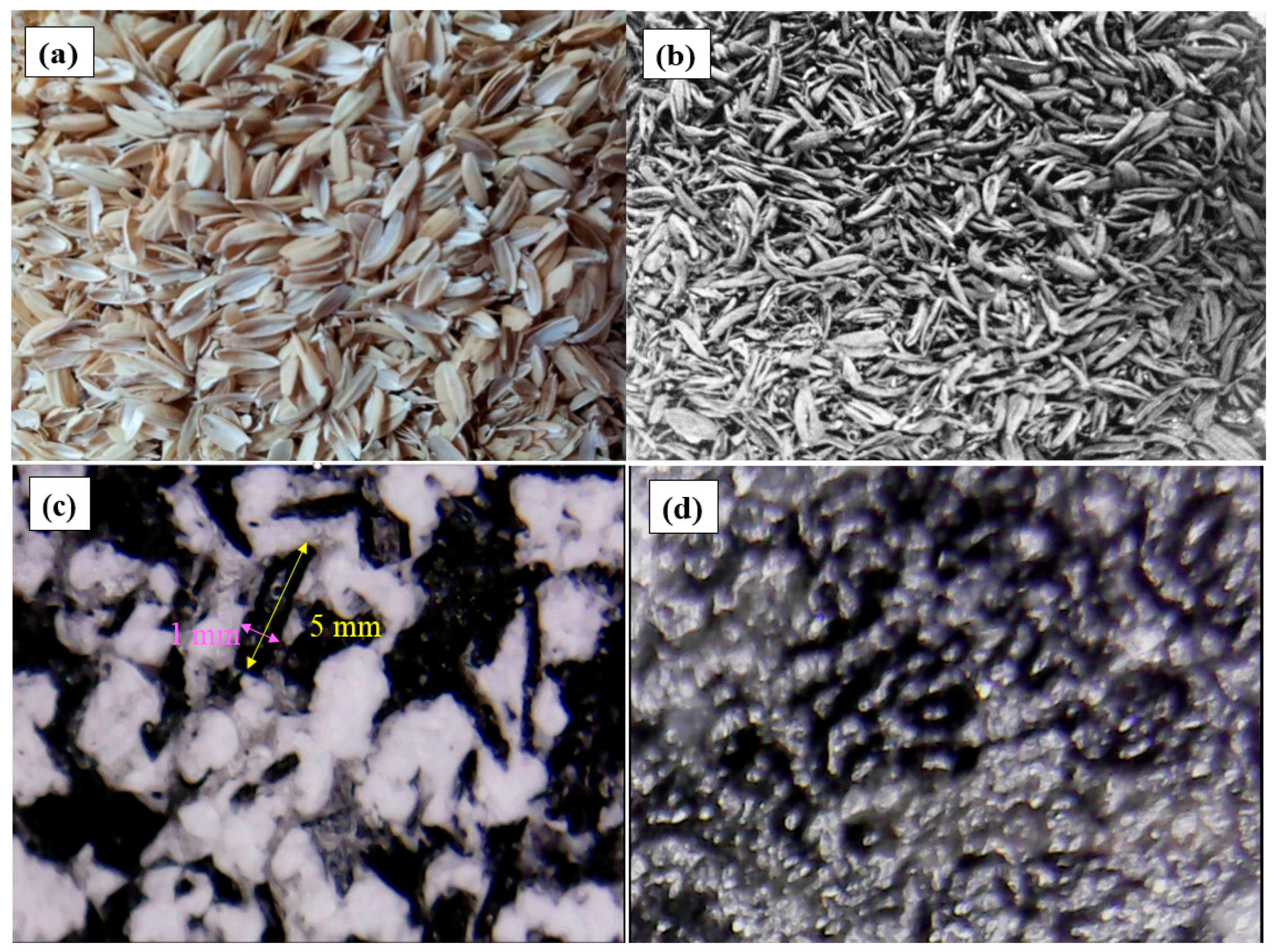 Molecules 25 03280 g002