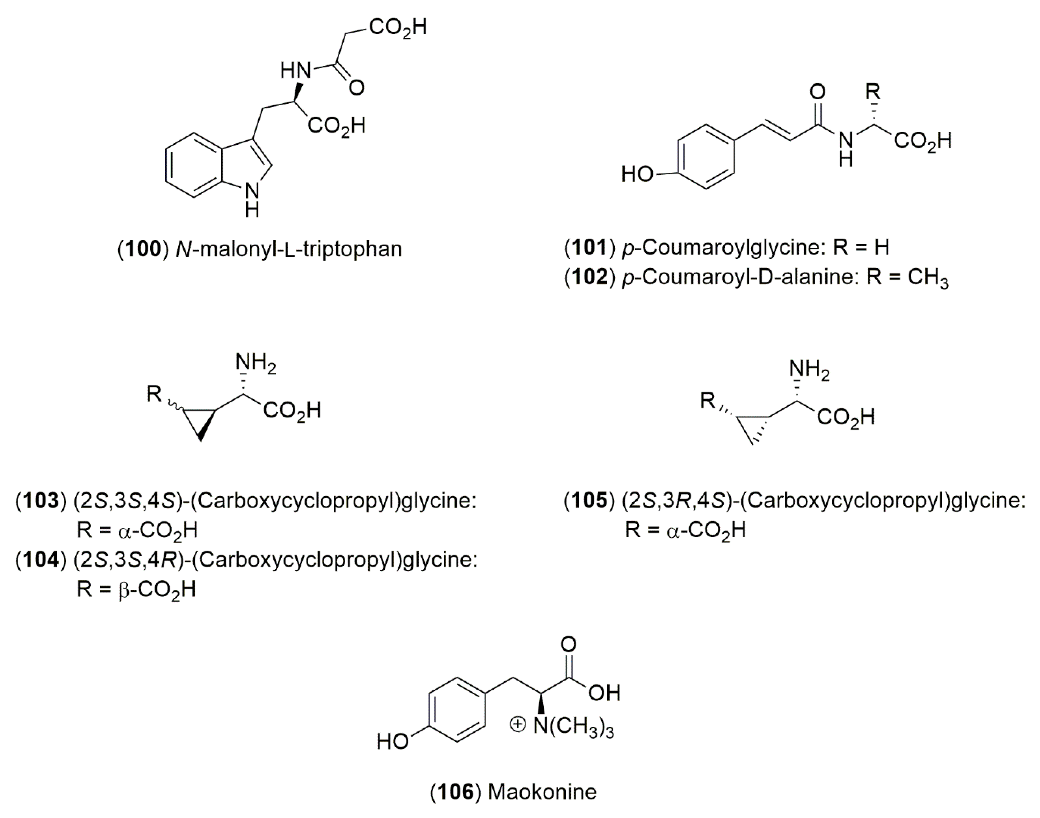 Molecules Free Full Text A Review Of The Ephedra Genus Distribution Ecology Ethnobotany Phytochemistry And Pharmacological Properties Html