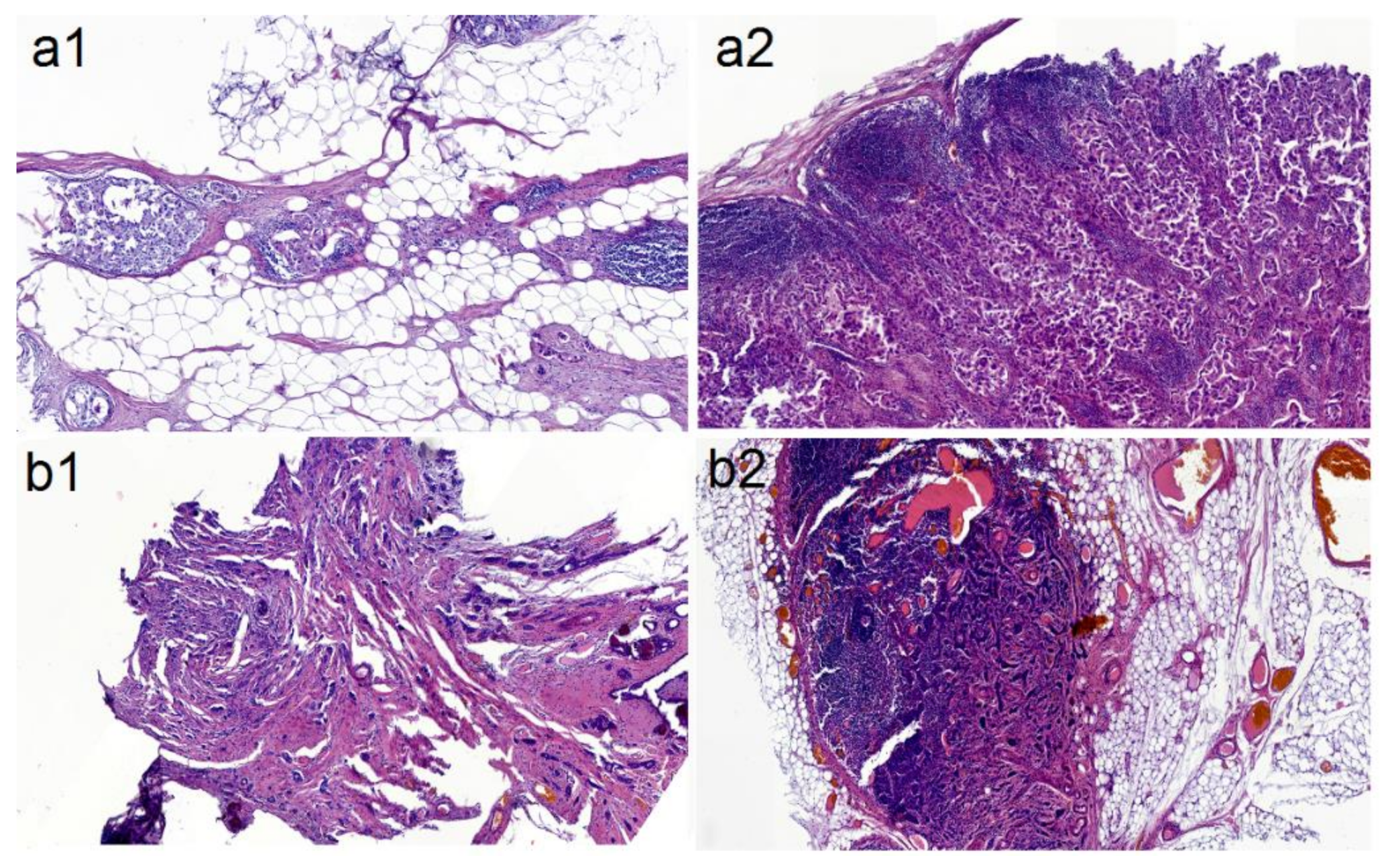 Molecules 25 03295 g001 Molecules 25 03295 g001