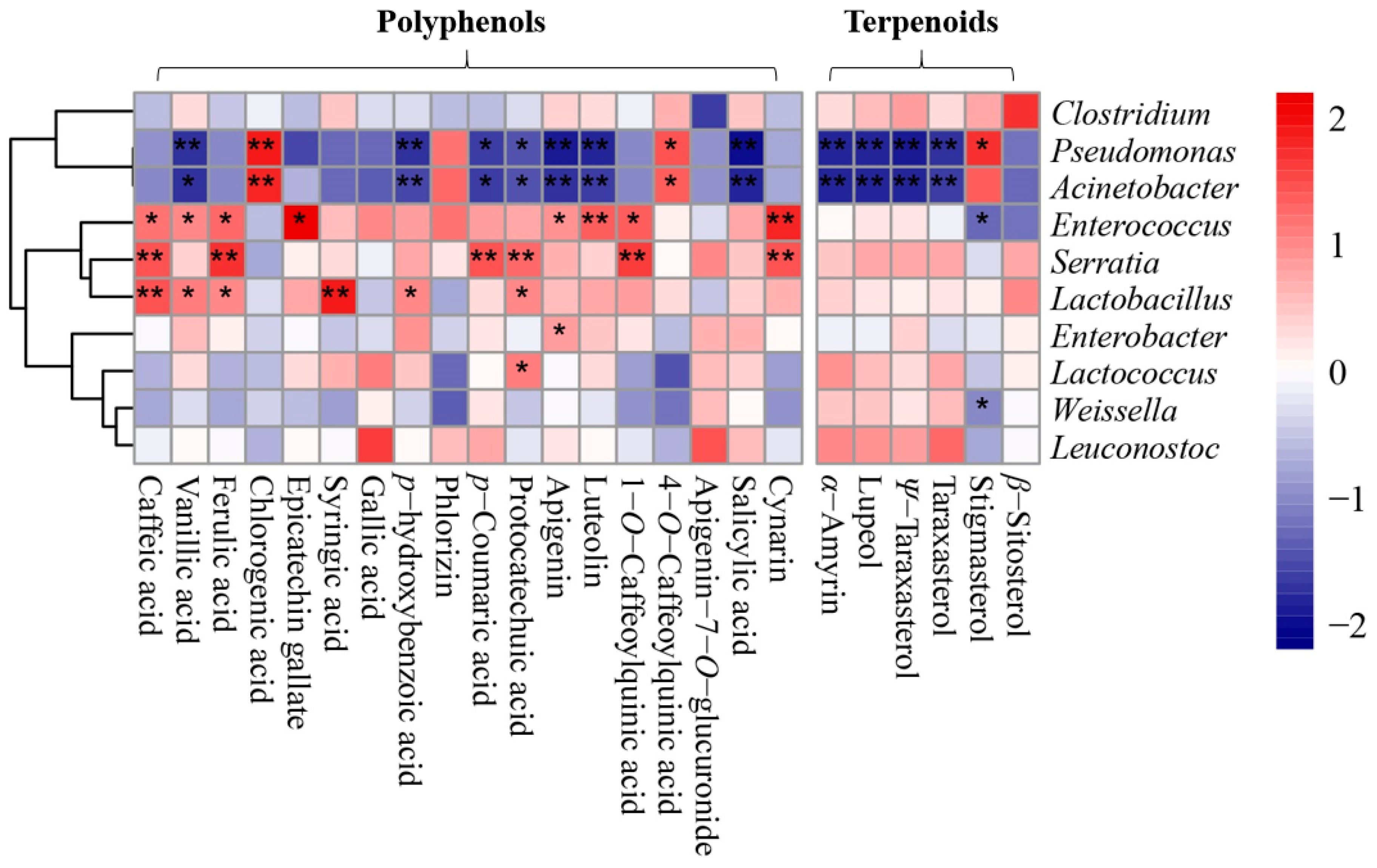 Molecules 25 03302 g006 Molecules 25 03302 g006