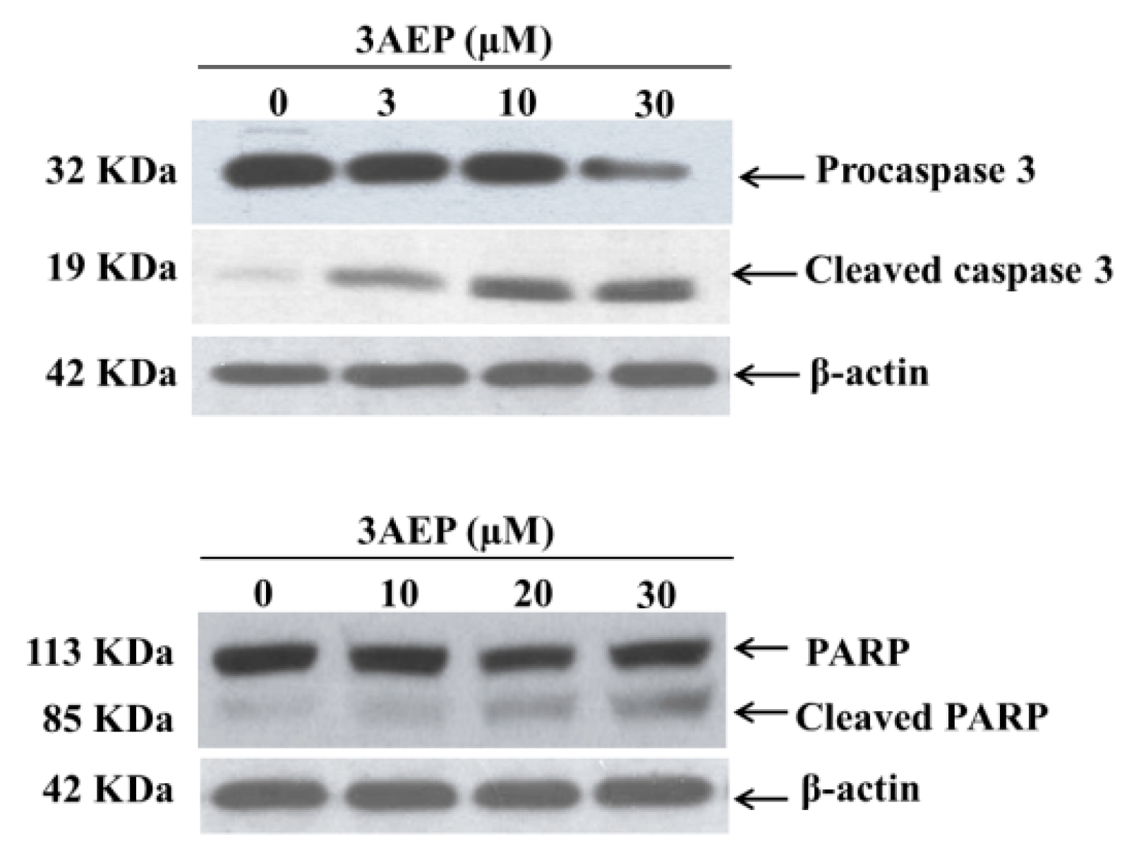 Molecules 25 03304 g003 Molecules 25 03304 g003