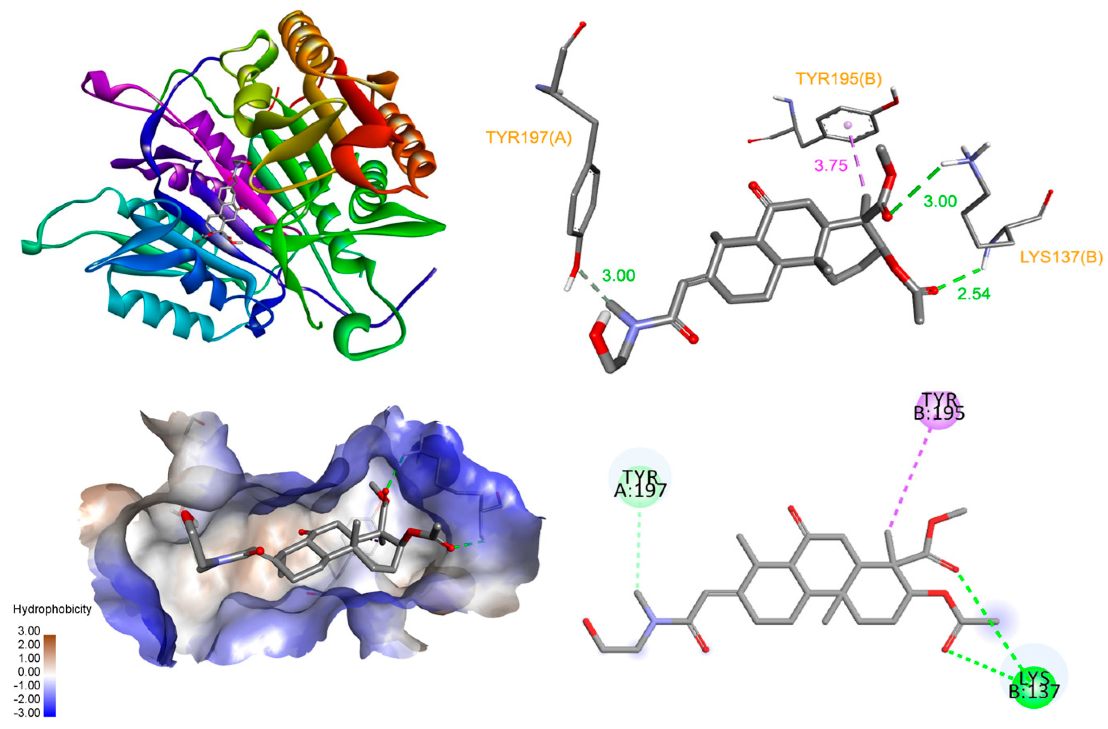 Molecules 25 03304 g005 Molecules 25 03304 g005