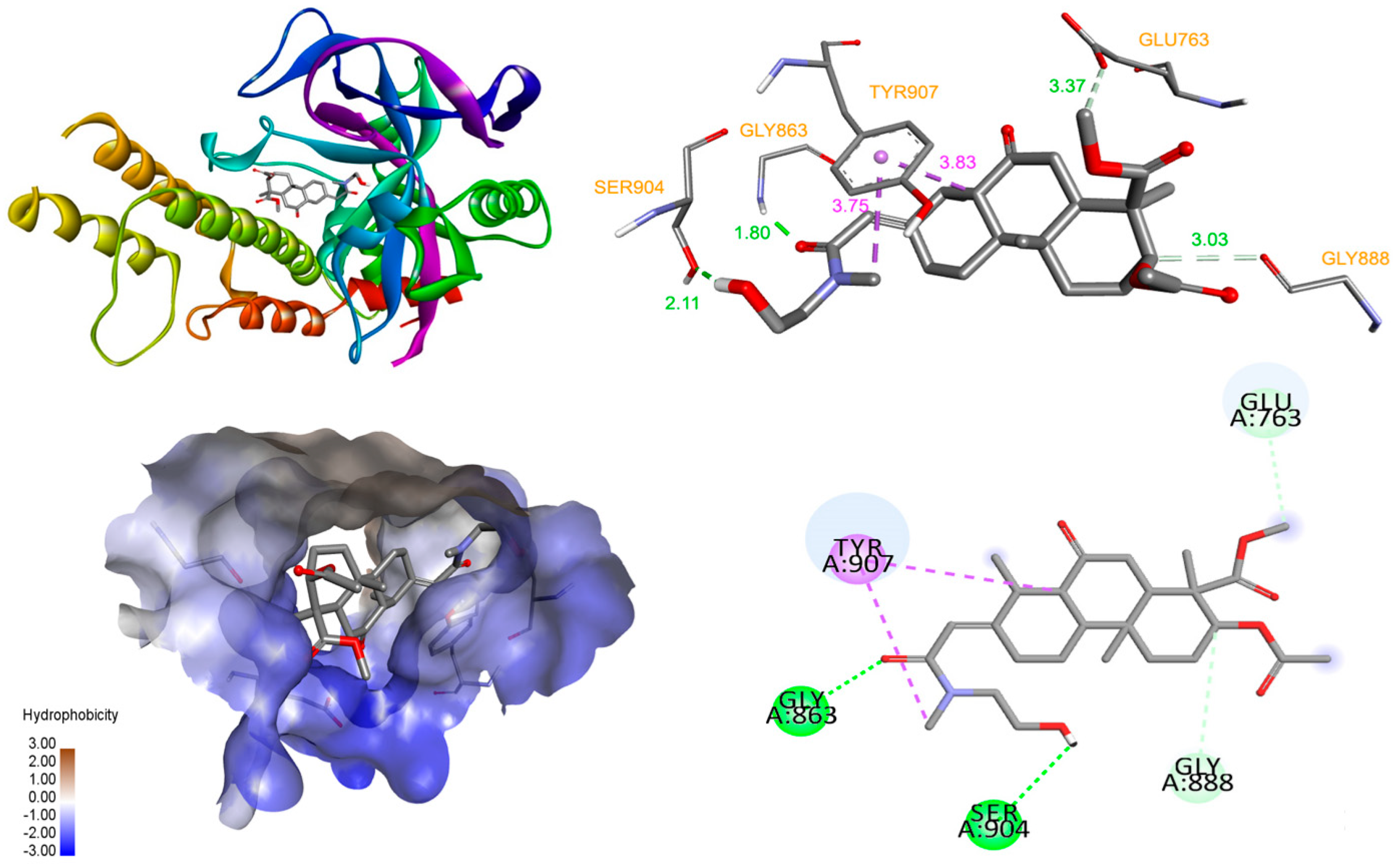 Molecules 25 03304 g006 Molecules 25 03304 g006
