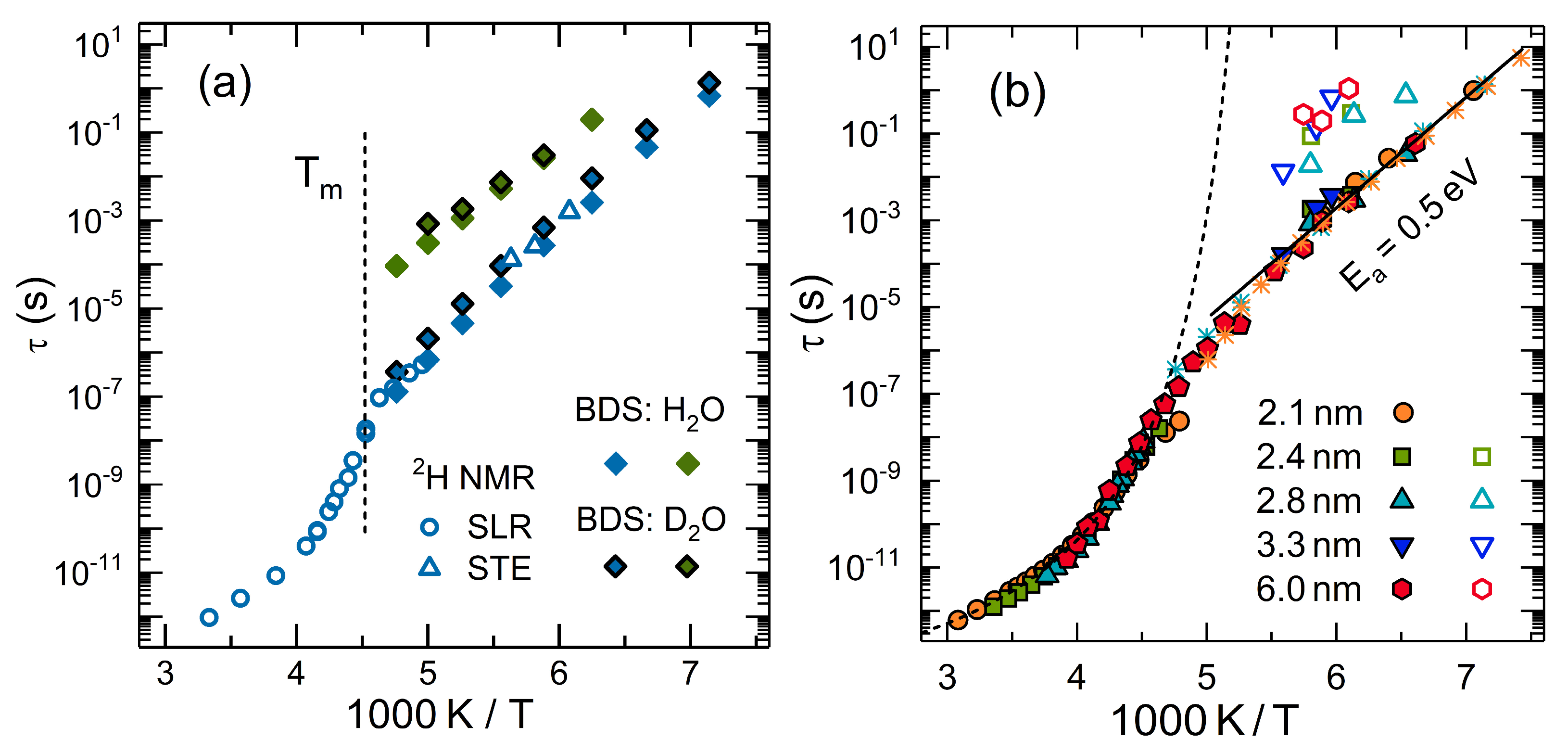 Molecules 25 03311 g004