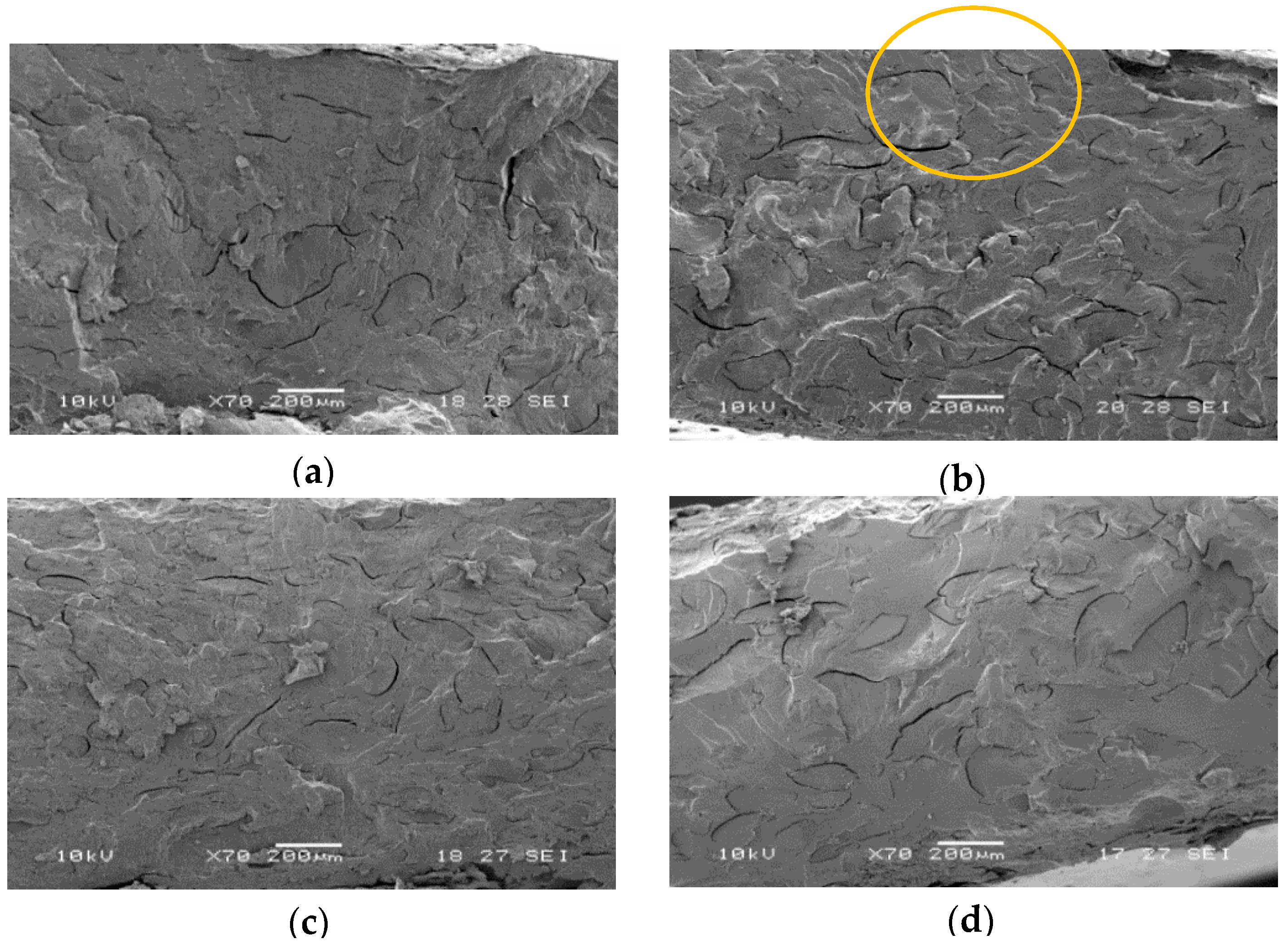 Molecules 25 03313 g001