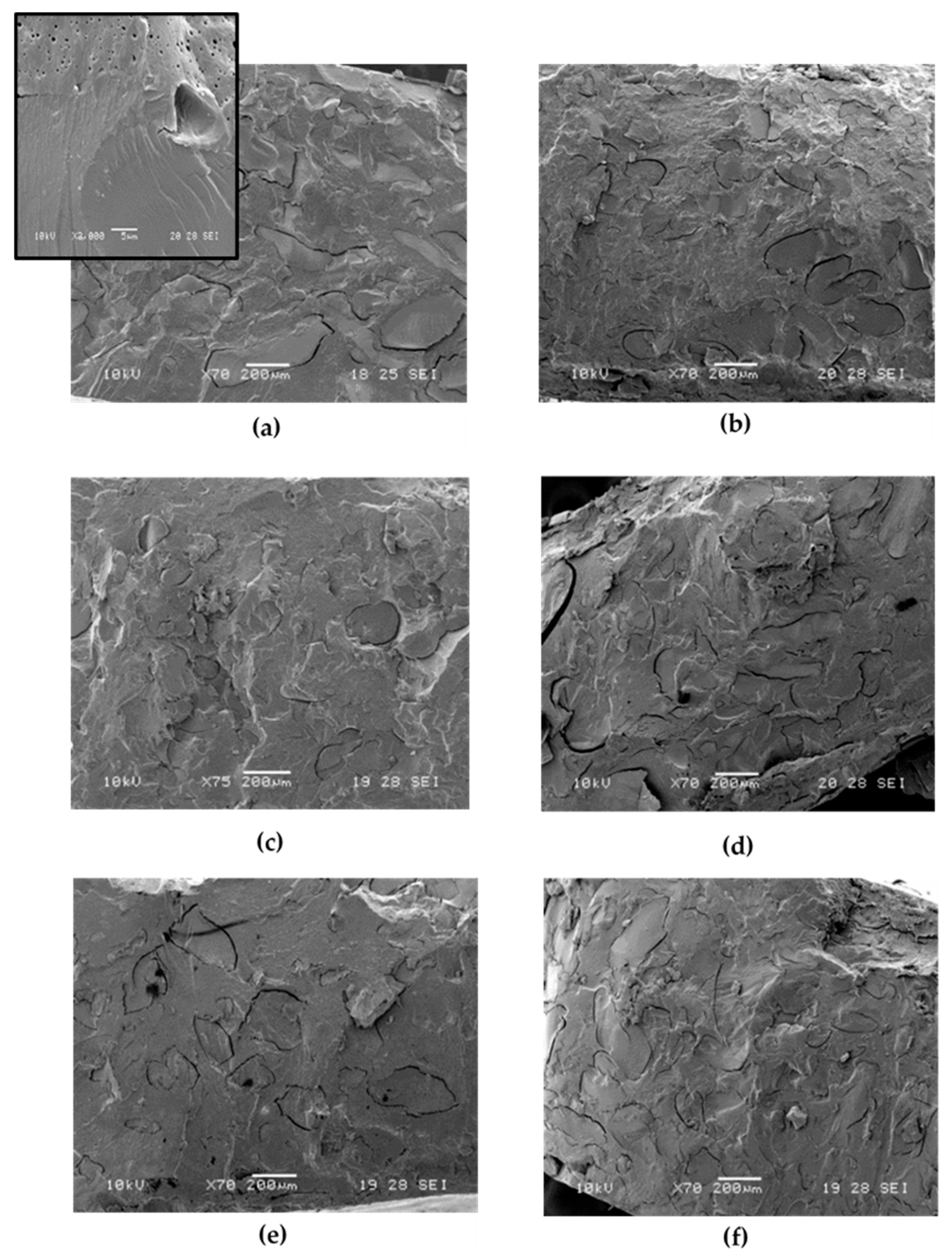 Molecules 25 03313 g003