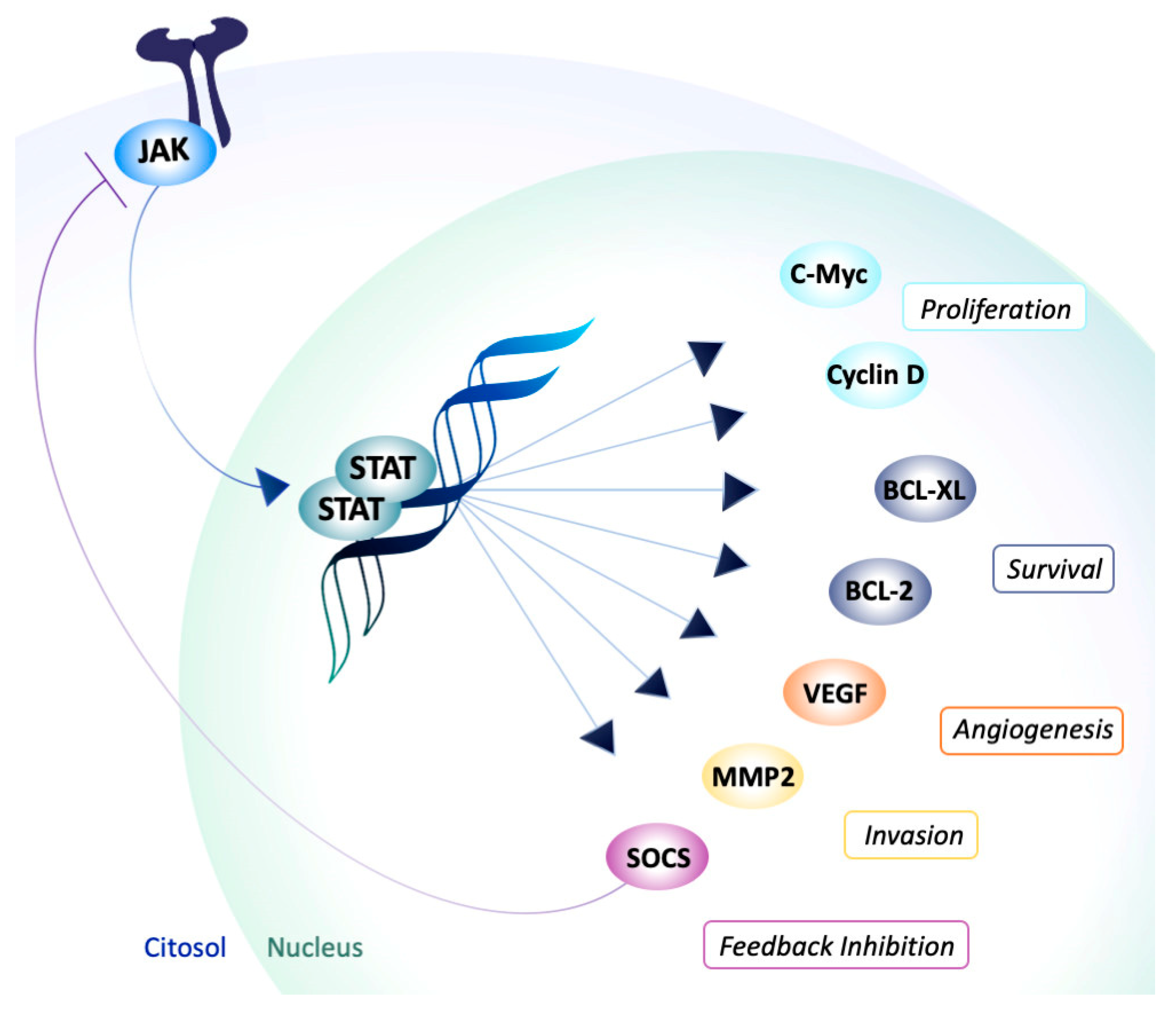 Molecules 25 03321 g001 Molecules 25 03321 g001