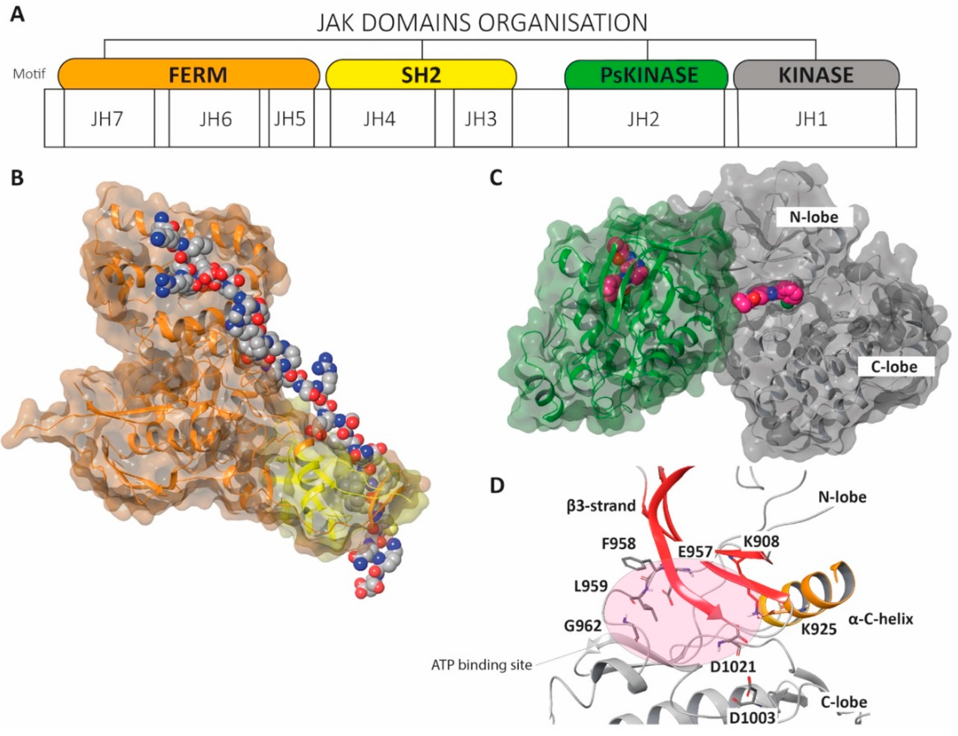 Molecules 25 03321 g008 Molecules 25 03321 g008