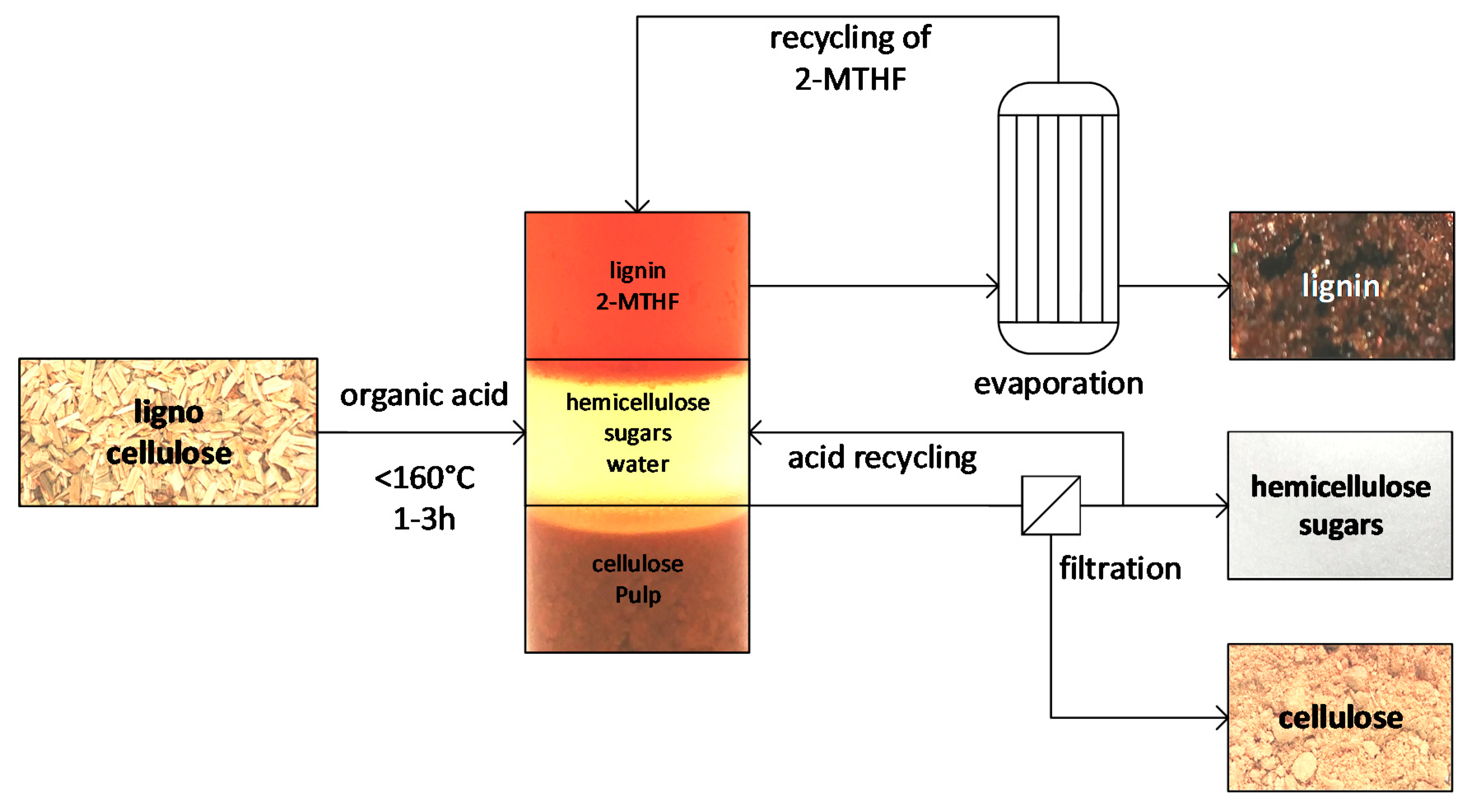 Molecules 25 03330 sch001 Molecules 25 03330 sch001