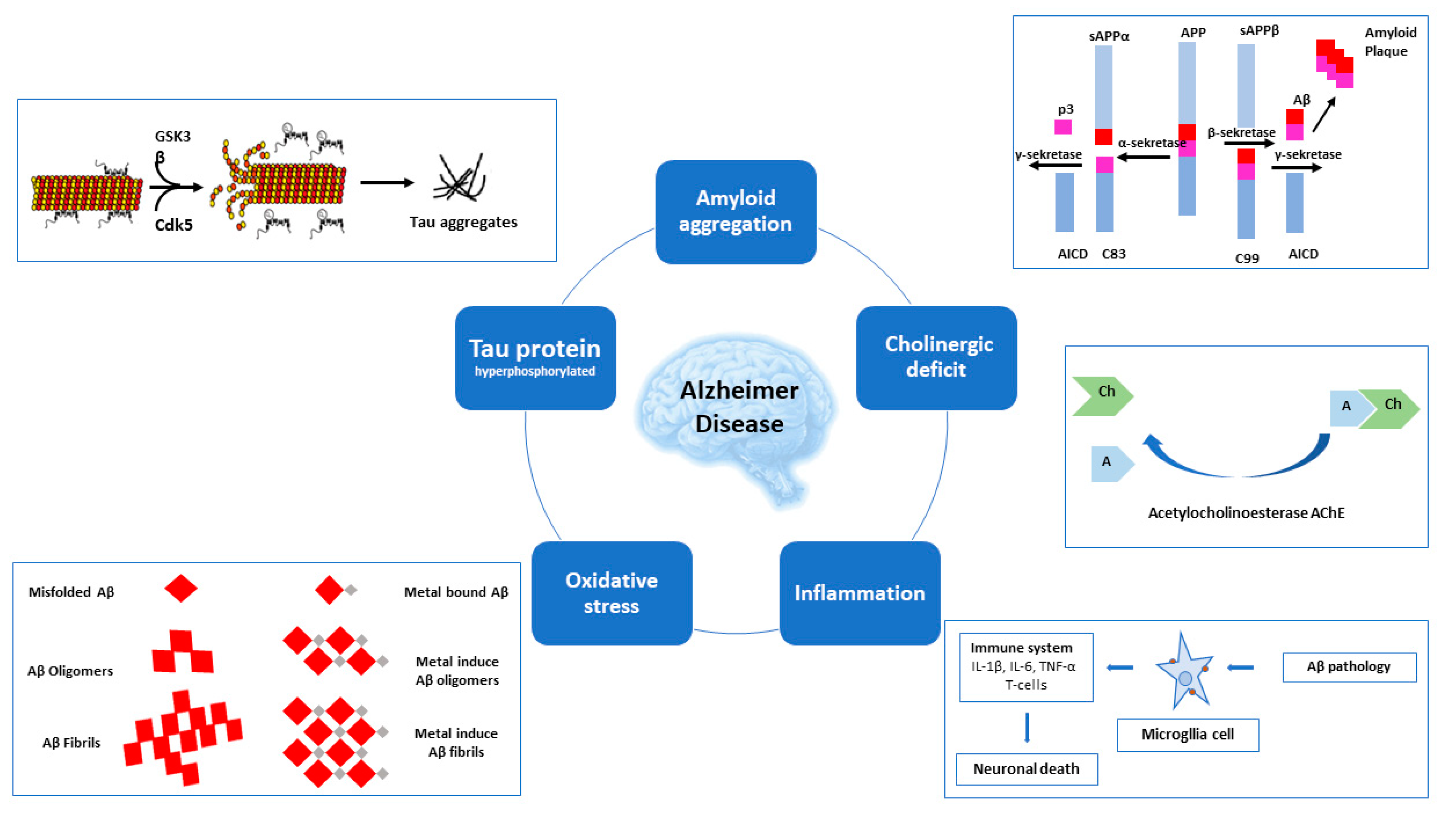 Novel Sustainable-by-Design HDAC Inhibitors for the Treatment of  Alzheimer's Disease