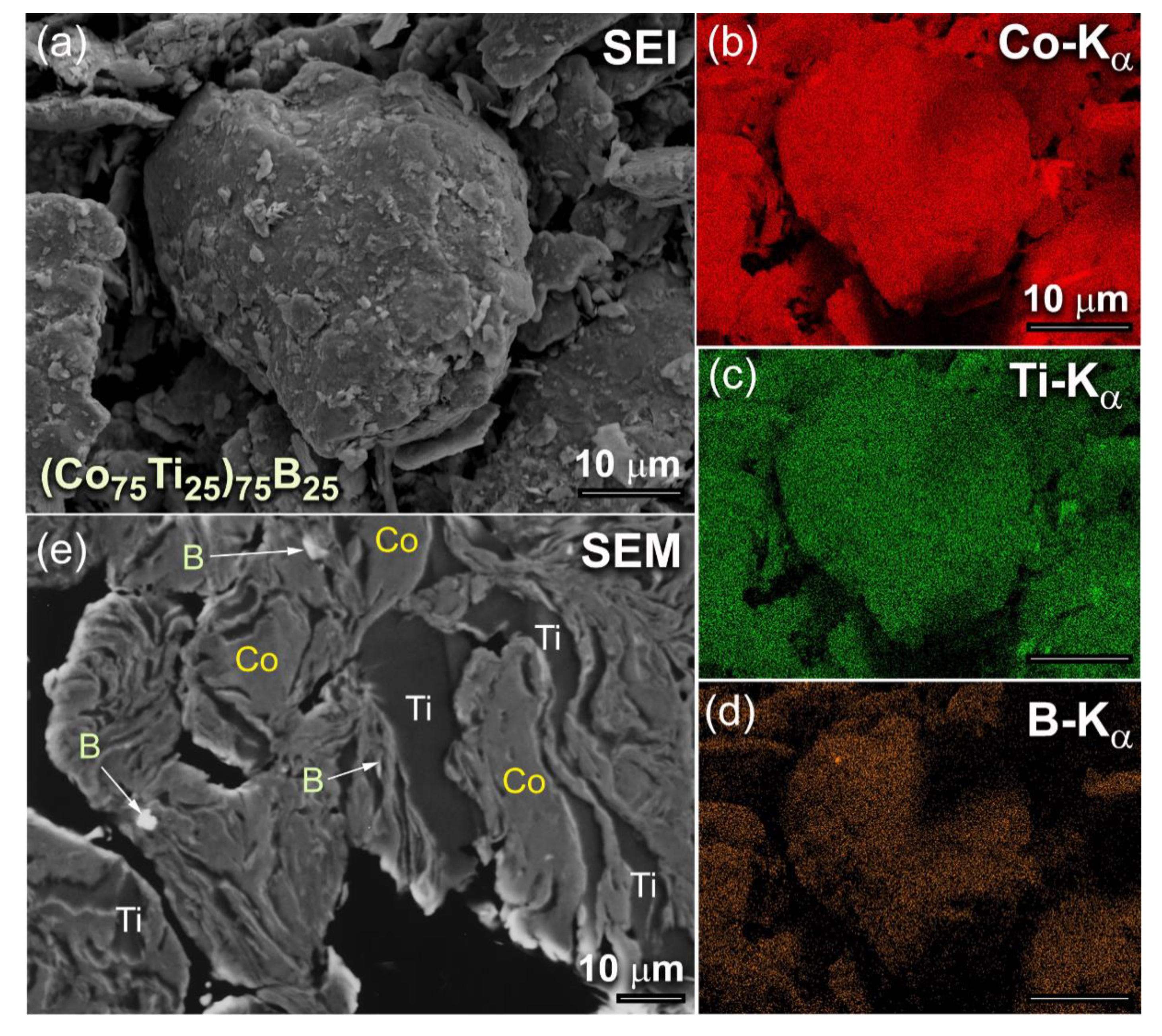 Molecules 25 03338 g001