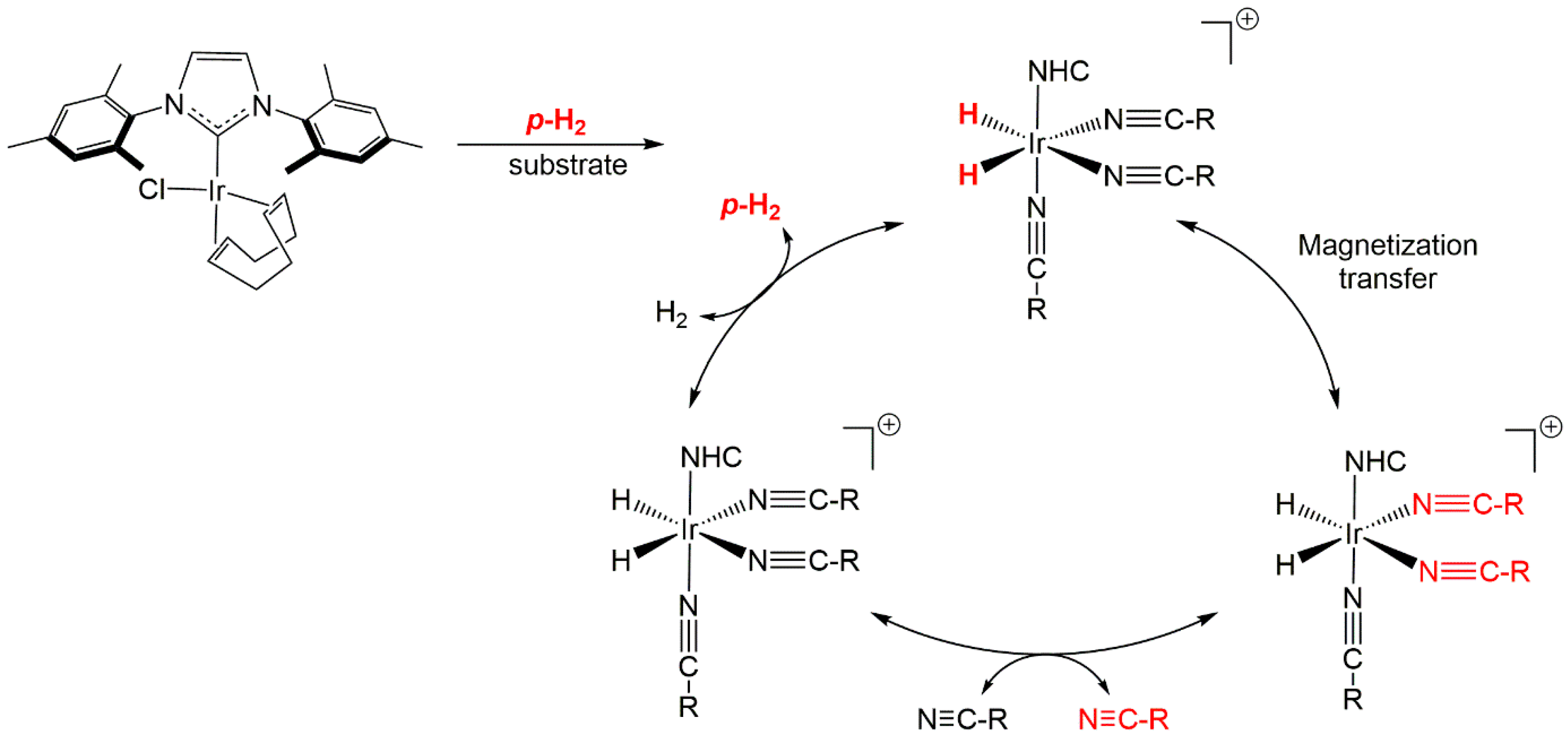 Molecules 25 03347 g001