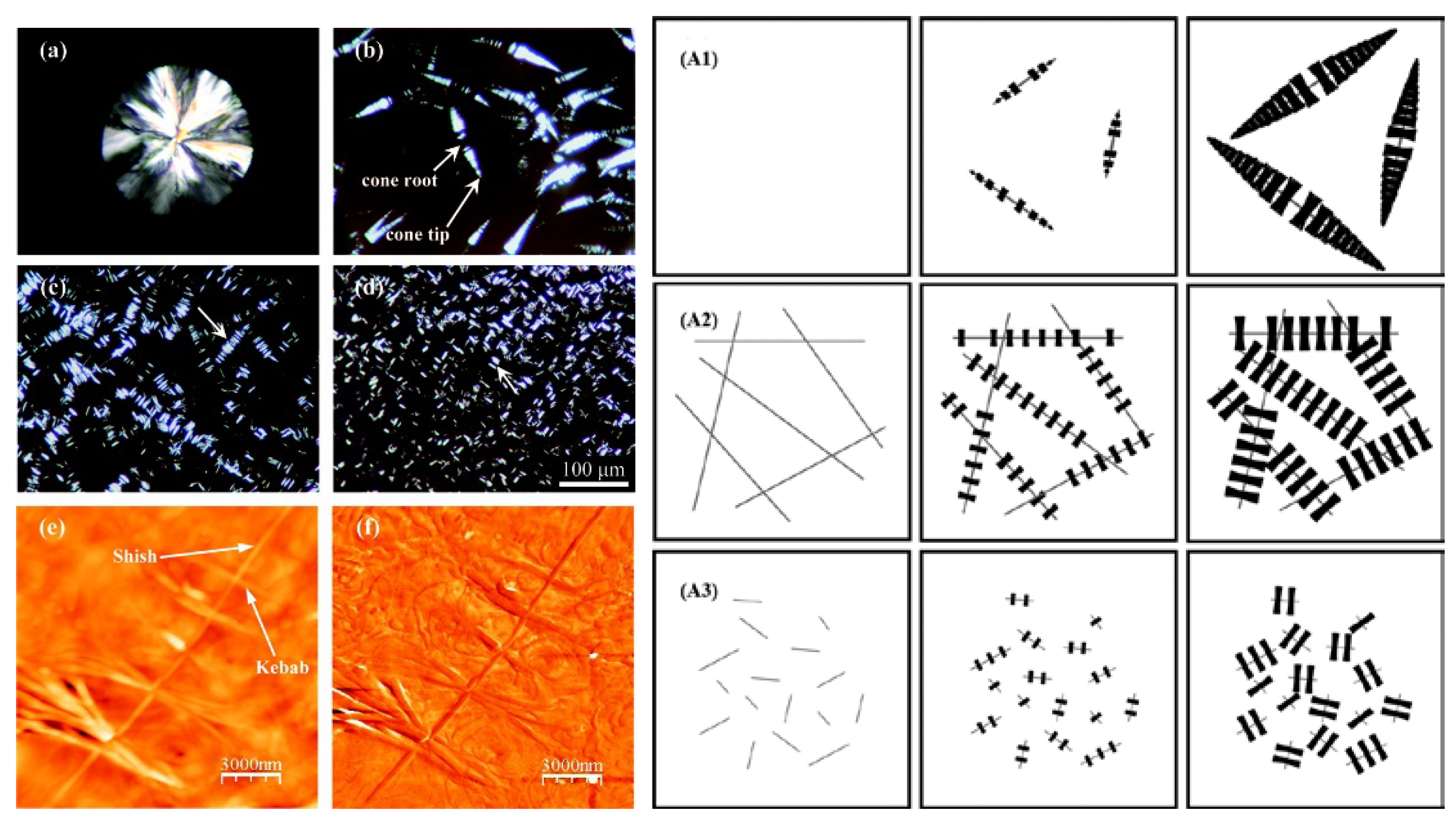 Molecules 25 03351 g001 Molecules 25 03351 g001