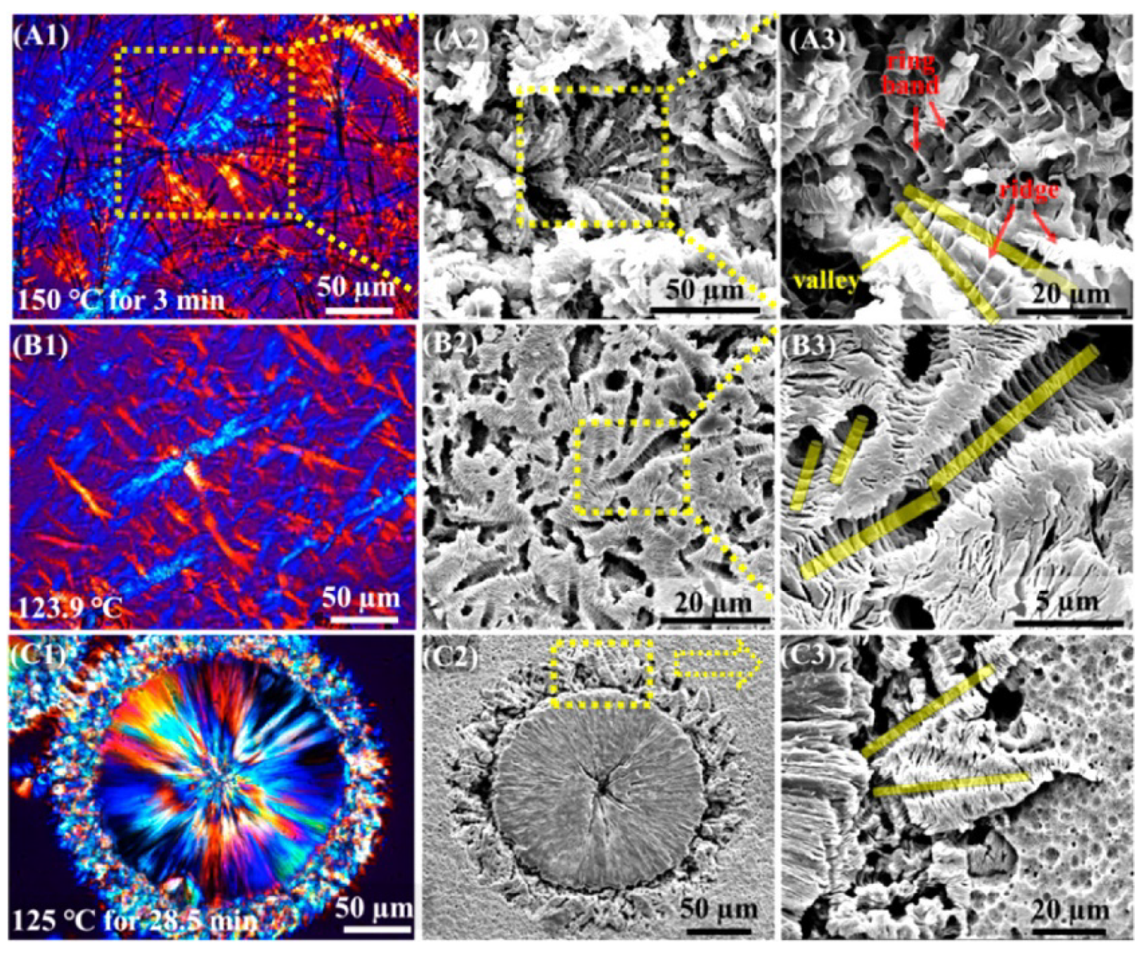 Molecules 25 03351 g004 Molecules 25 03351 g004