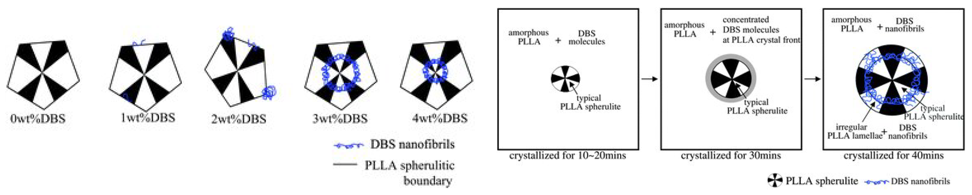 Molecules 25 03351 g009 Molecules 25 03351 g009