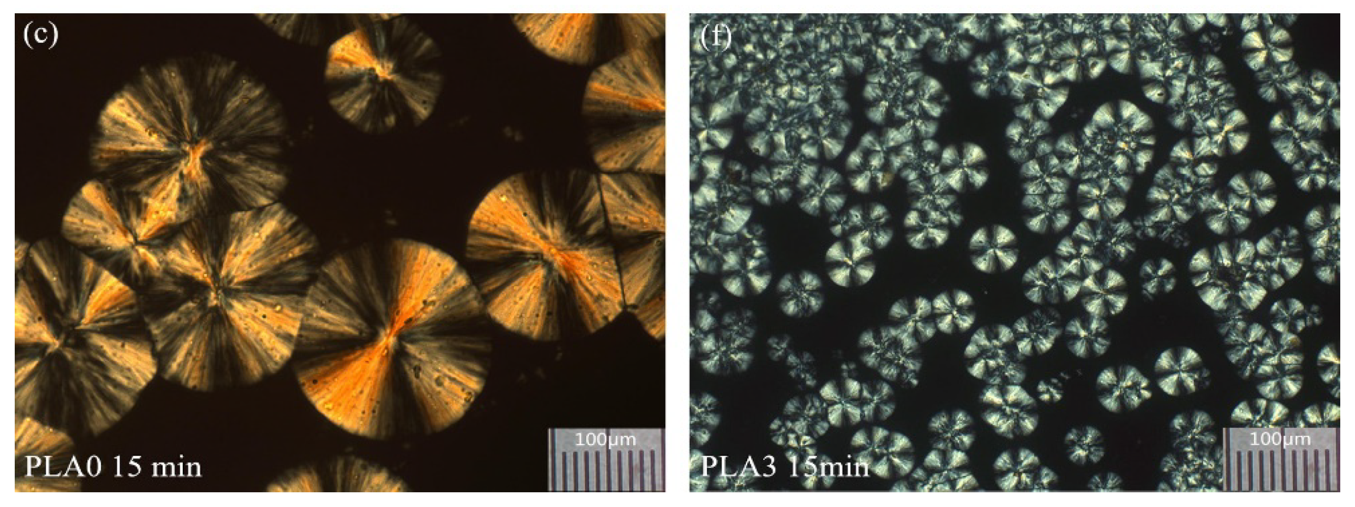 Molecules 25 03351 g013 Molecules 25 03351 g013