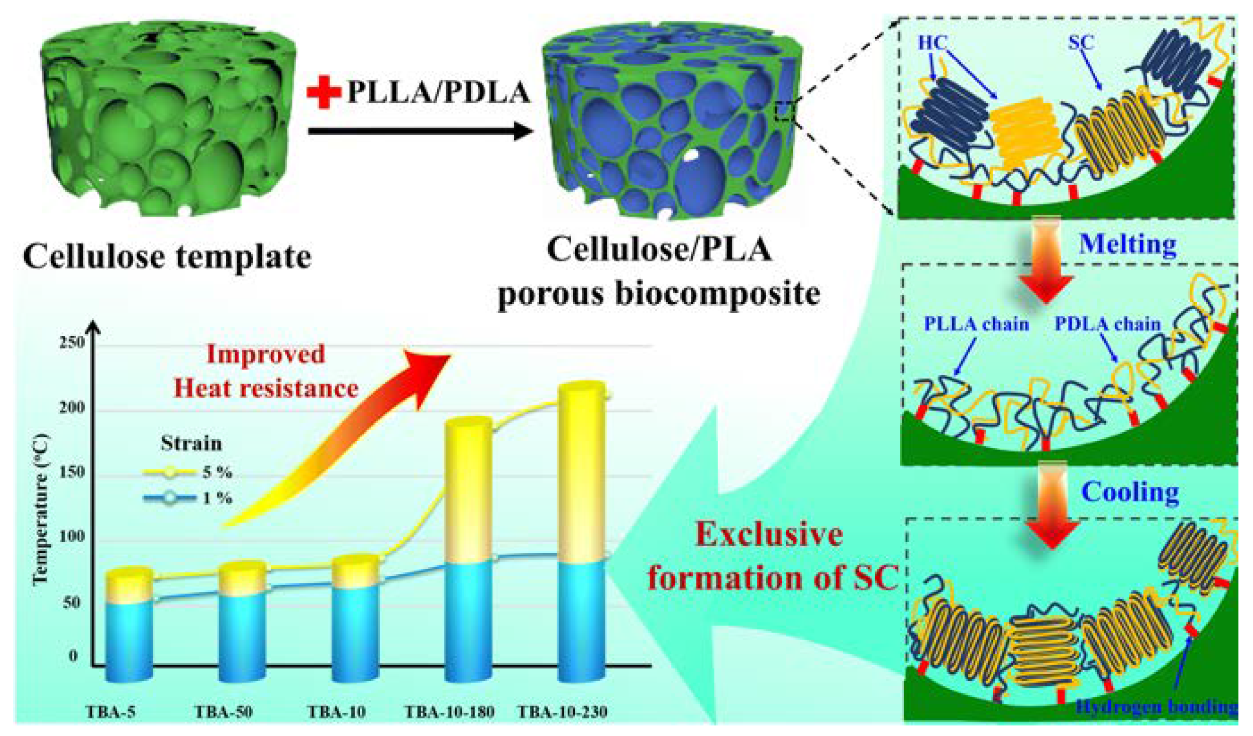 Molecules 25 03351 g021 Molecules 25 03351 g021