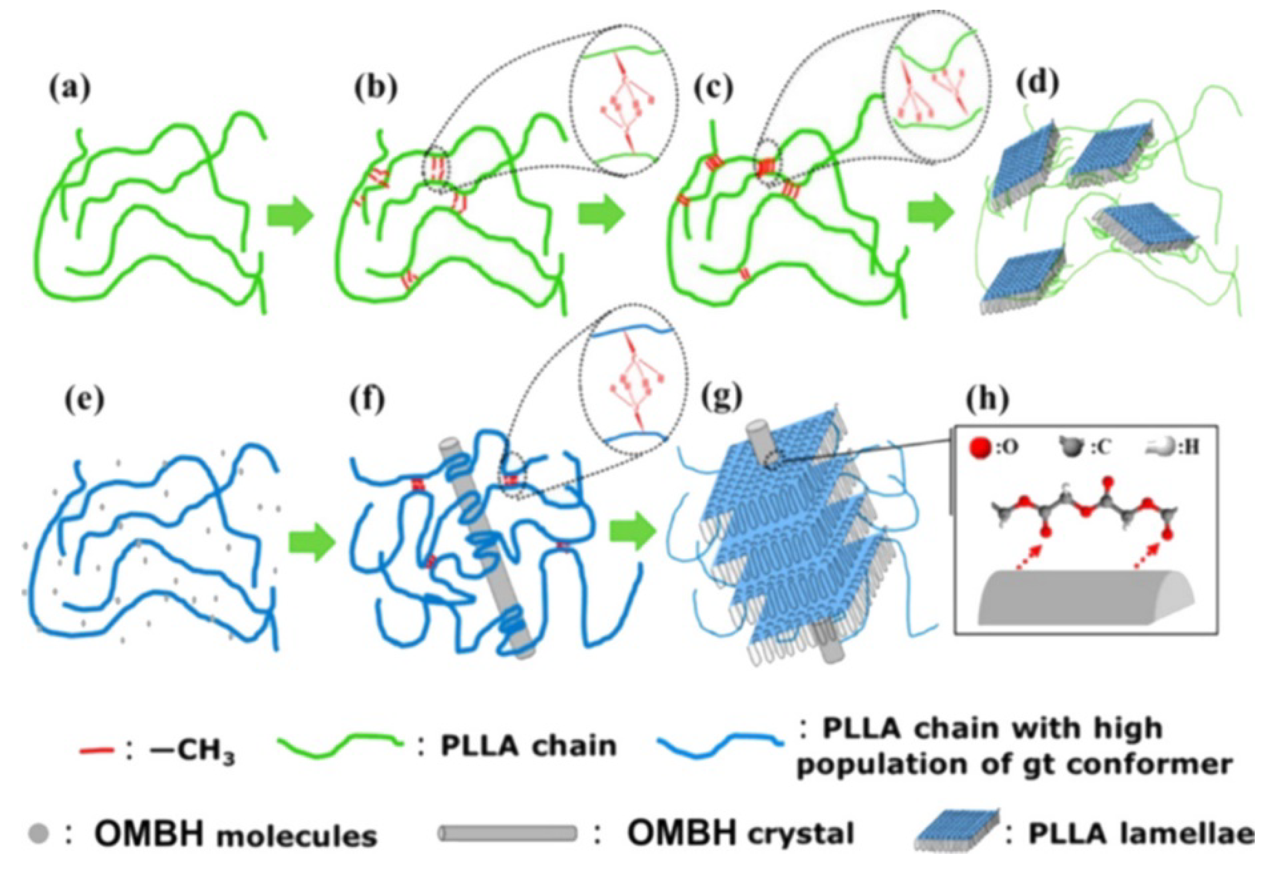 Molecules 25 03351 sch003 Molecules 25 03351 sch003