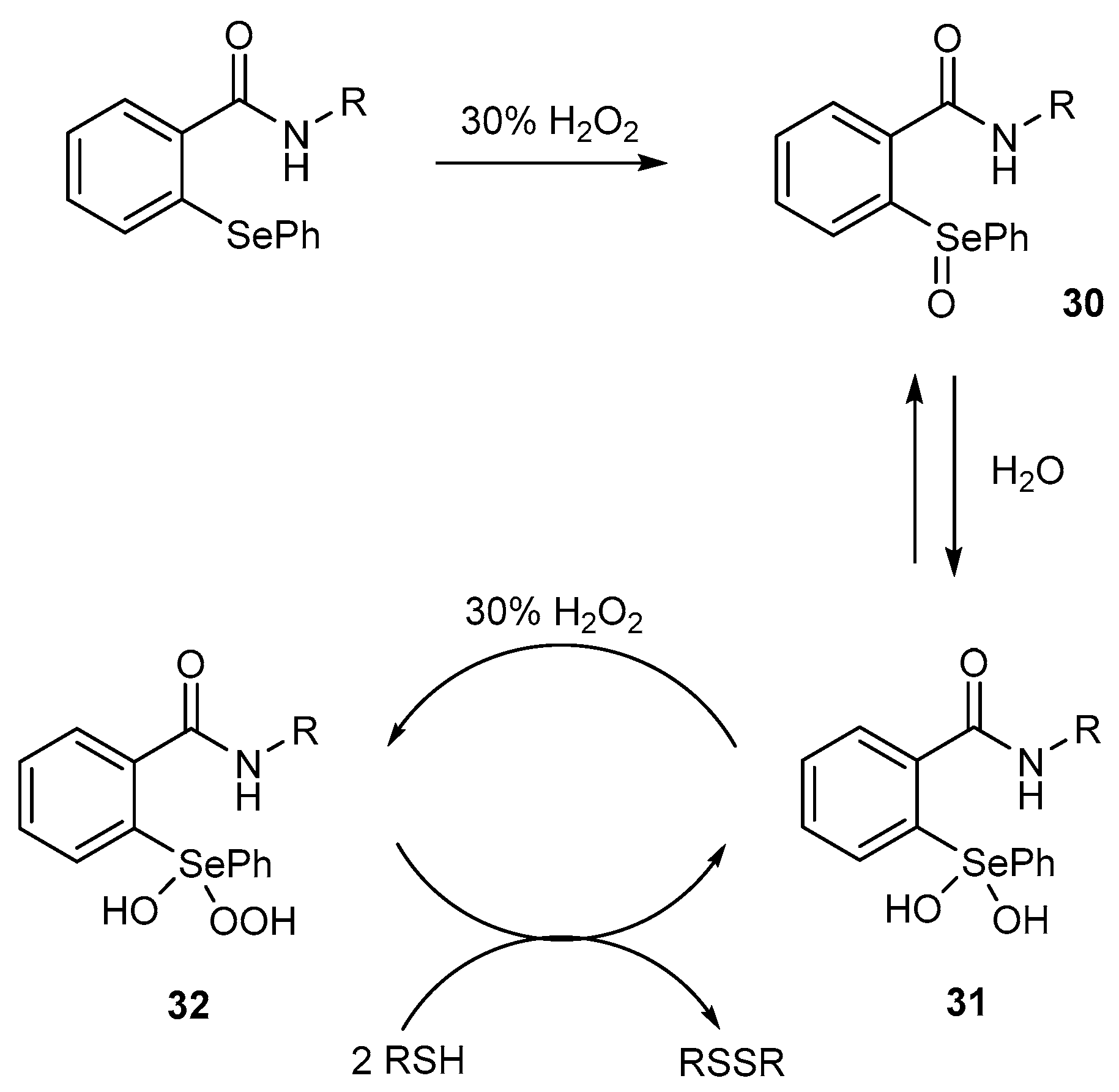Molecules 25 03354 sch006