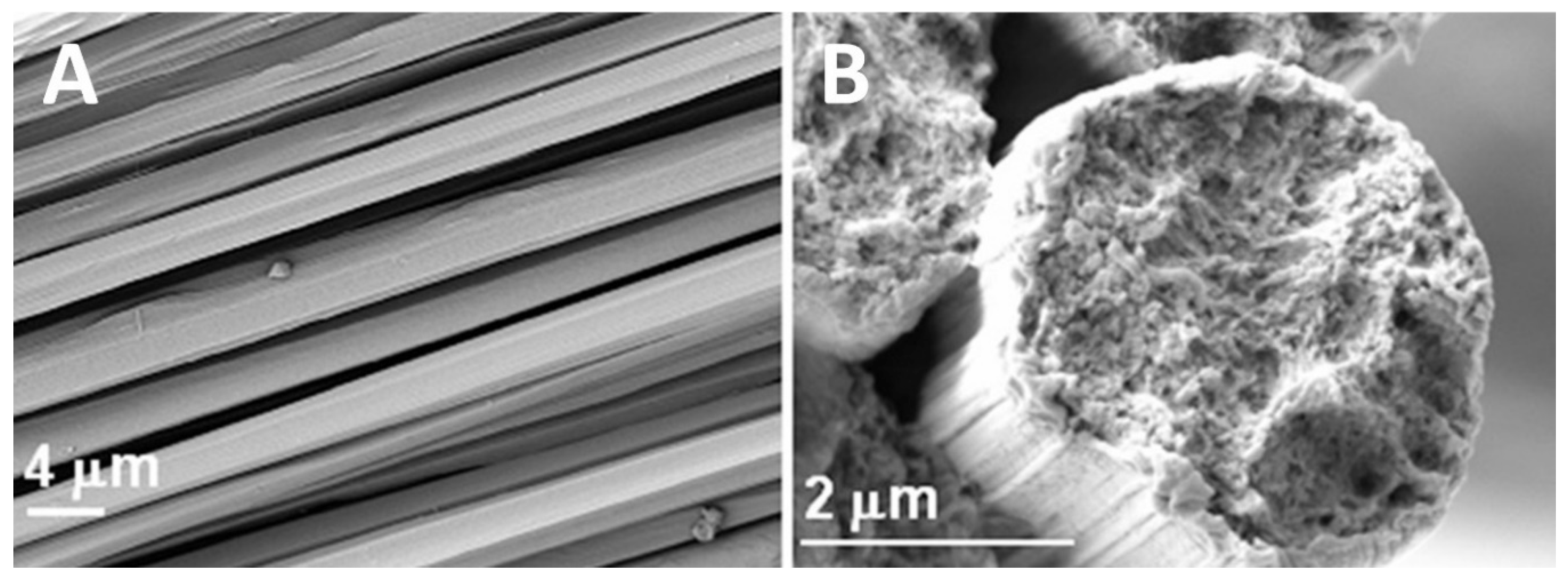 Molecules 25 03362 g005 Molecules 25 03362 g005