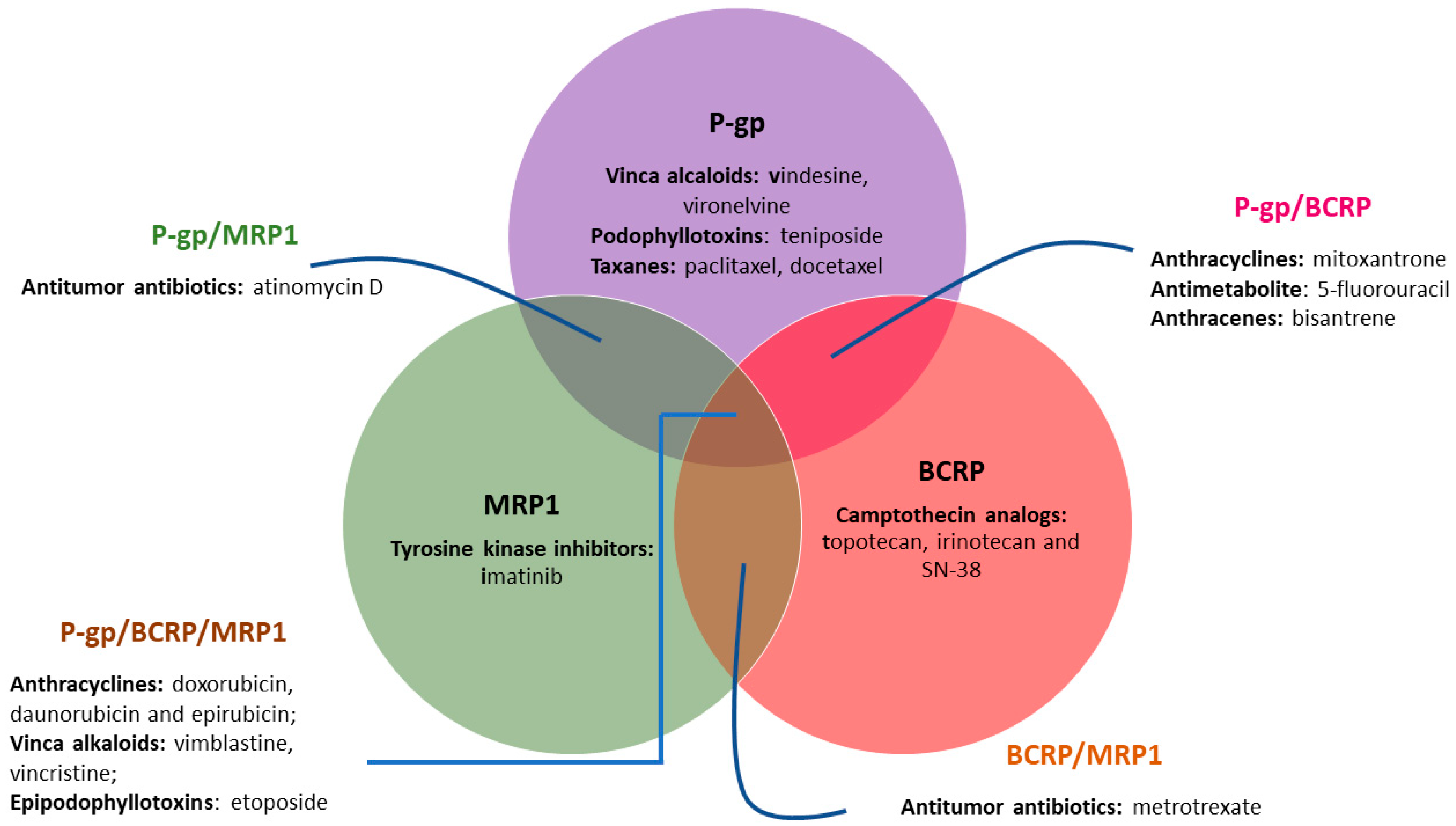Molecules 25 03364 g002