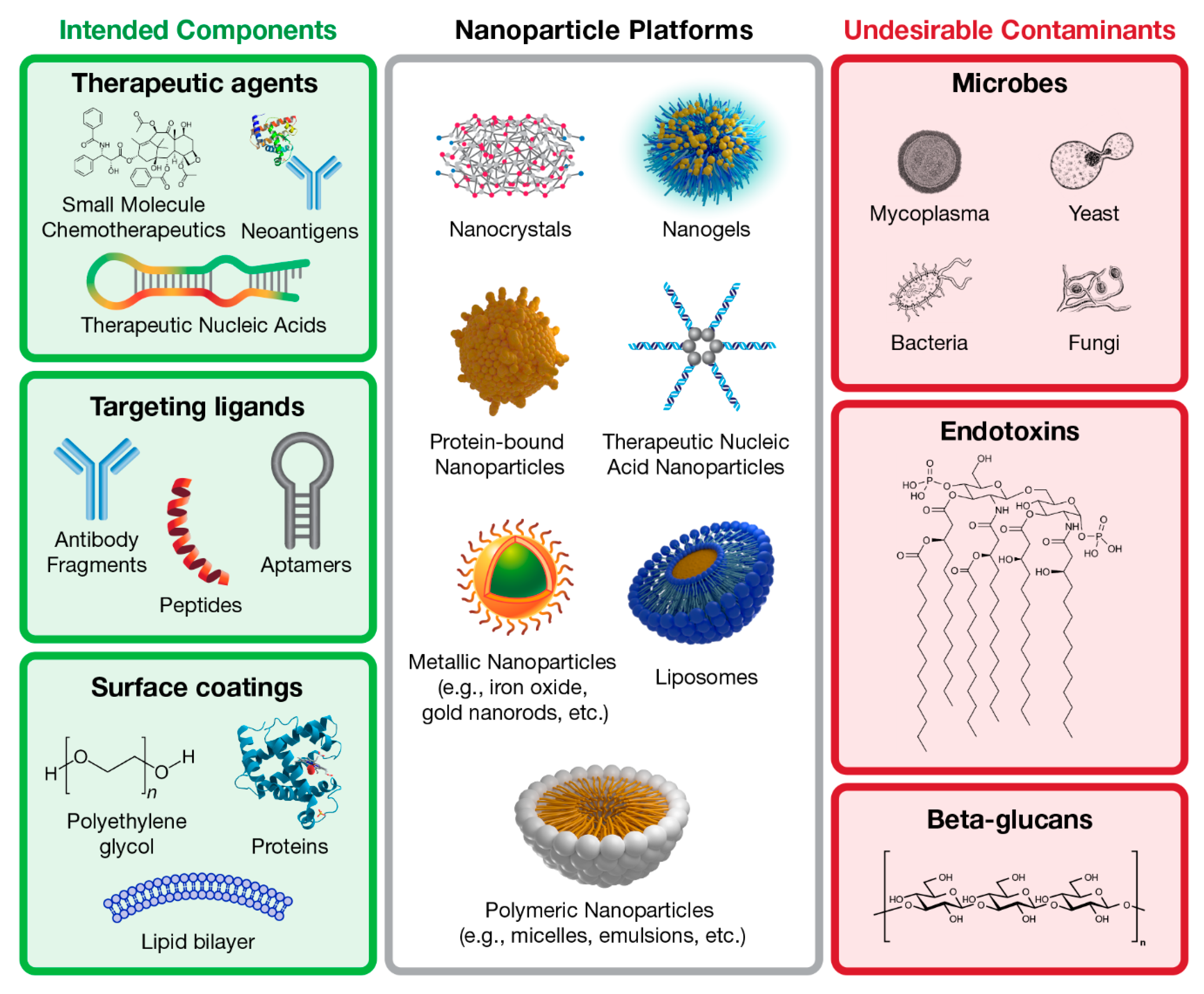 Molecules Free Full Text Detection Of Beta Glucan Contamination In Nanotechnology Based Formulations Html