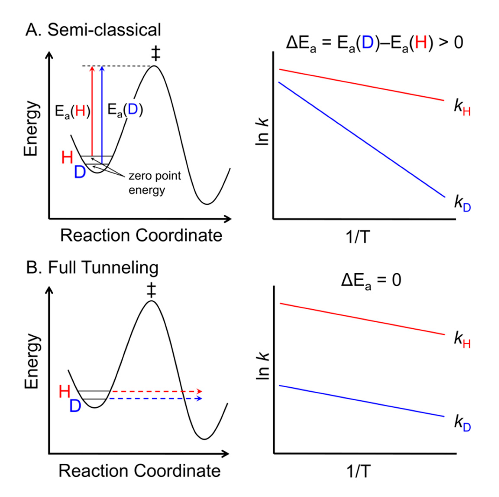 Molecules 25 03374 g004 Molecules 25 03374 g004