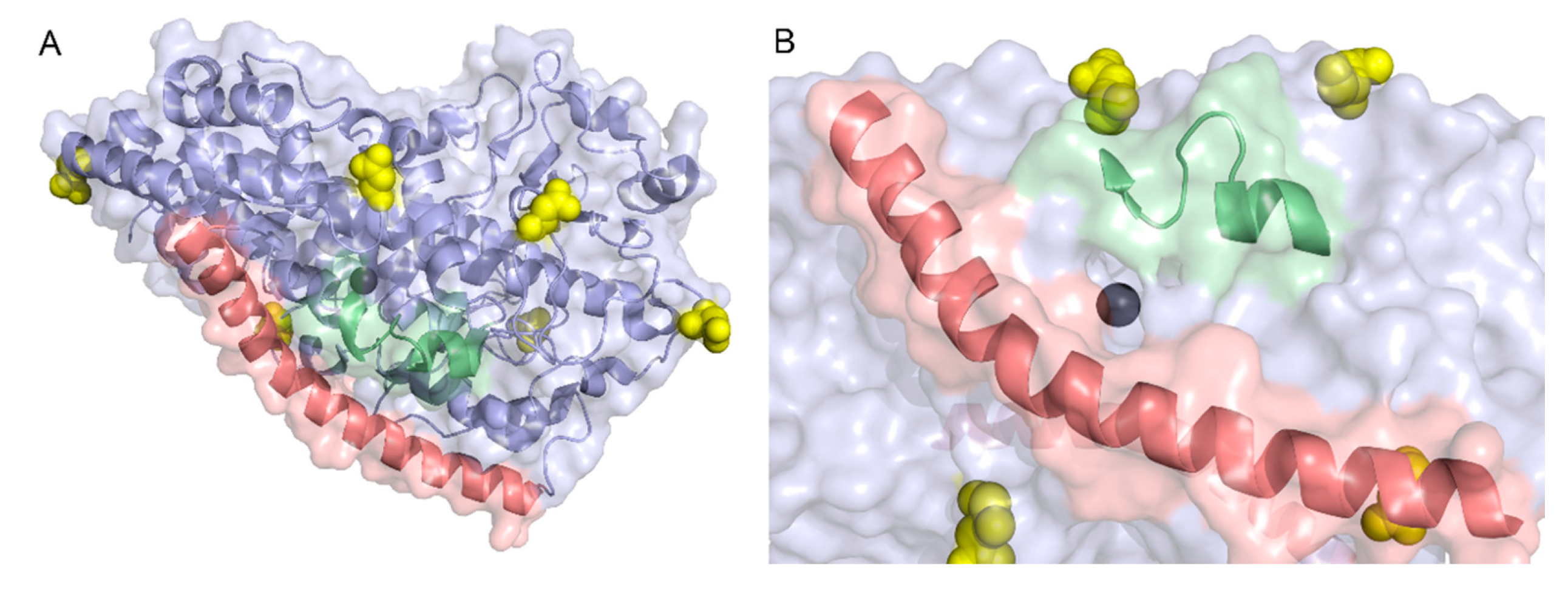 Molecules 25 03374 g009 Molecules 25 03374 g009