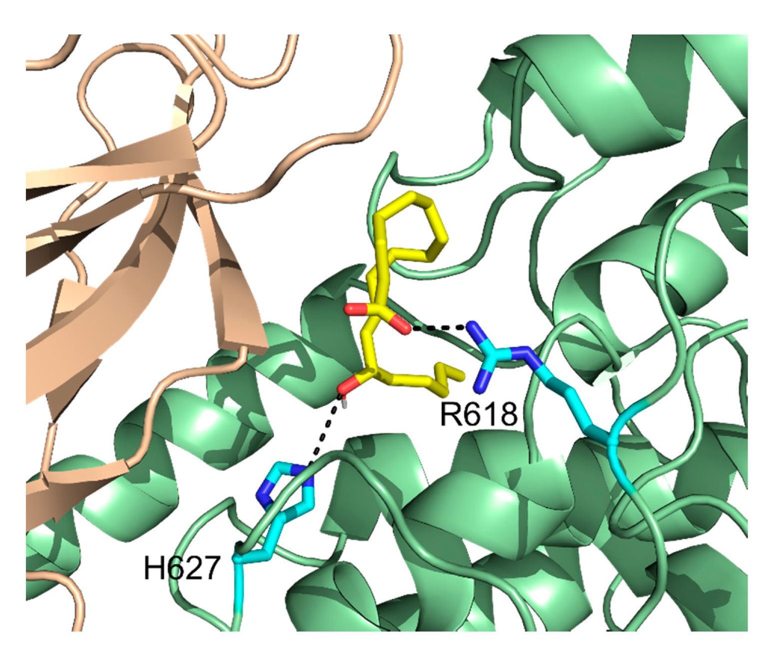 Molecules 25 03374 g010 Molecules 25 03374 g010