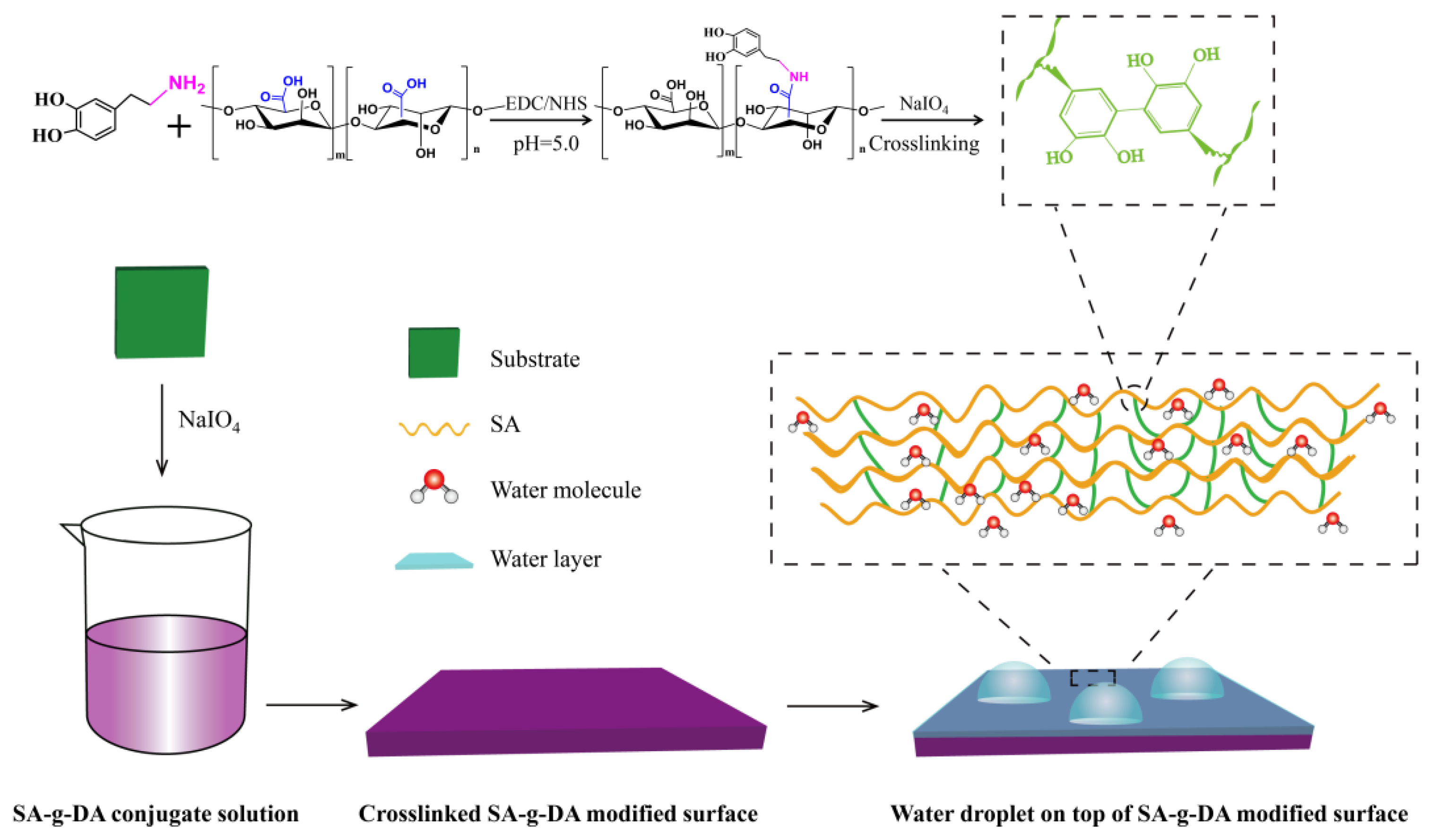Molecules 25 03378 g001 Molecules 25 03378 g001