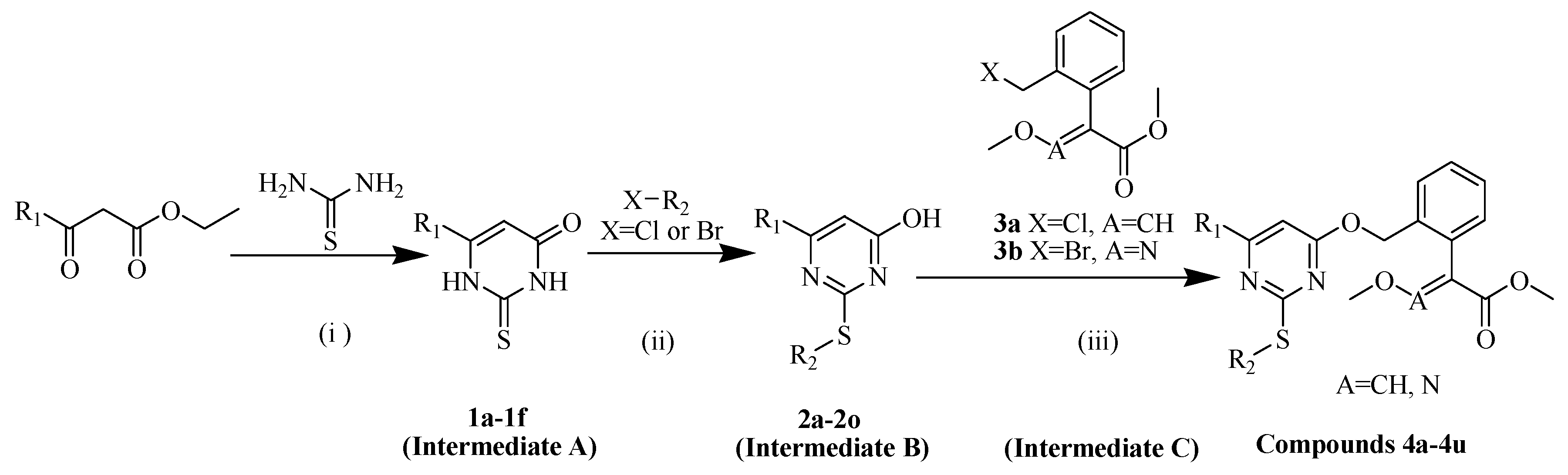 Molecules 25 03379 g004 Molecules 25 03379 g004