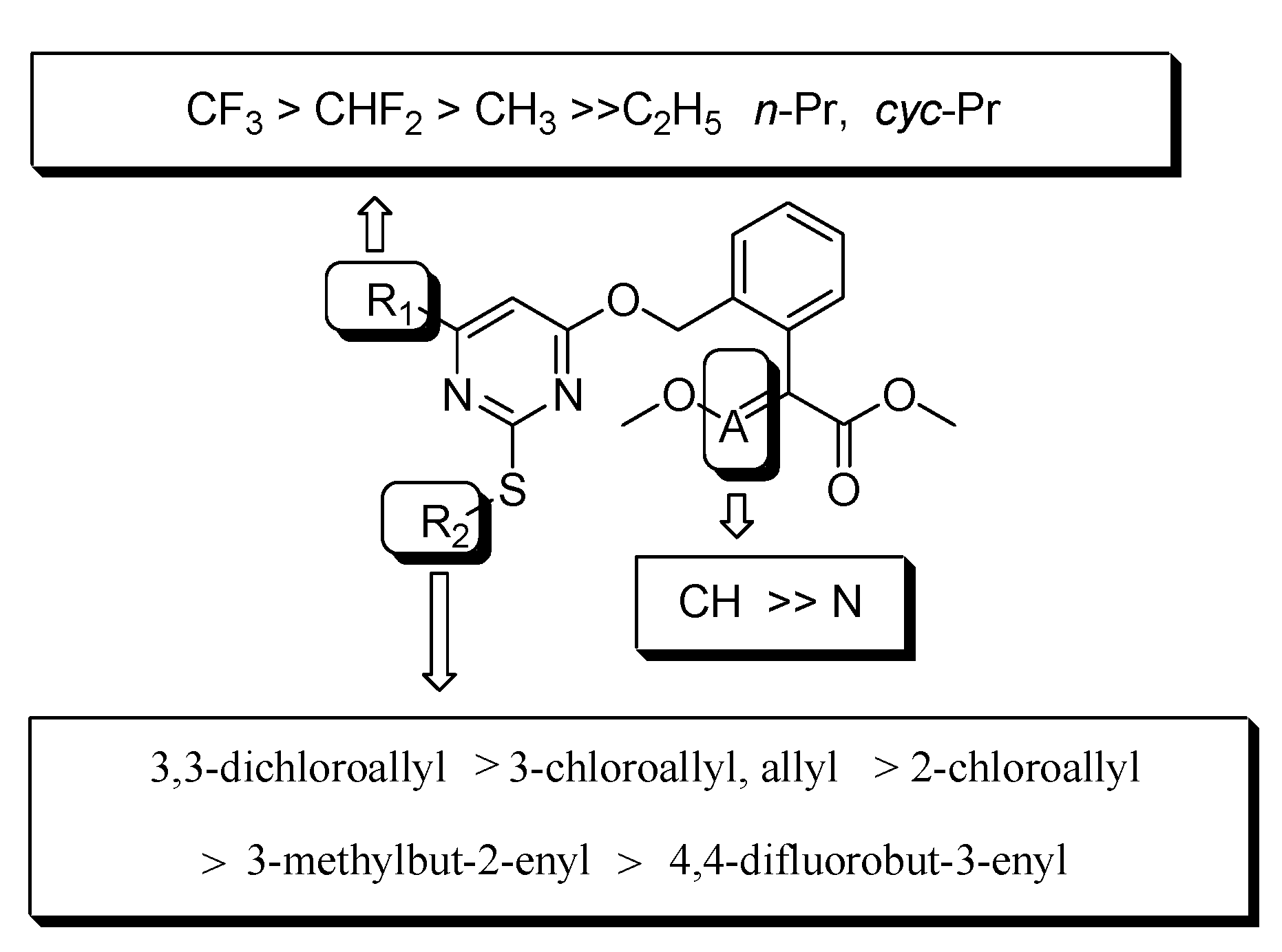 Molecules 25 03379 g005 Molecules 25 03379 g005