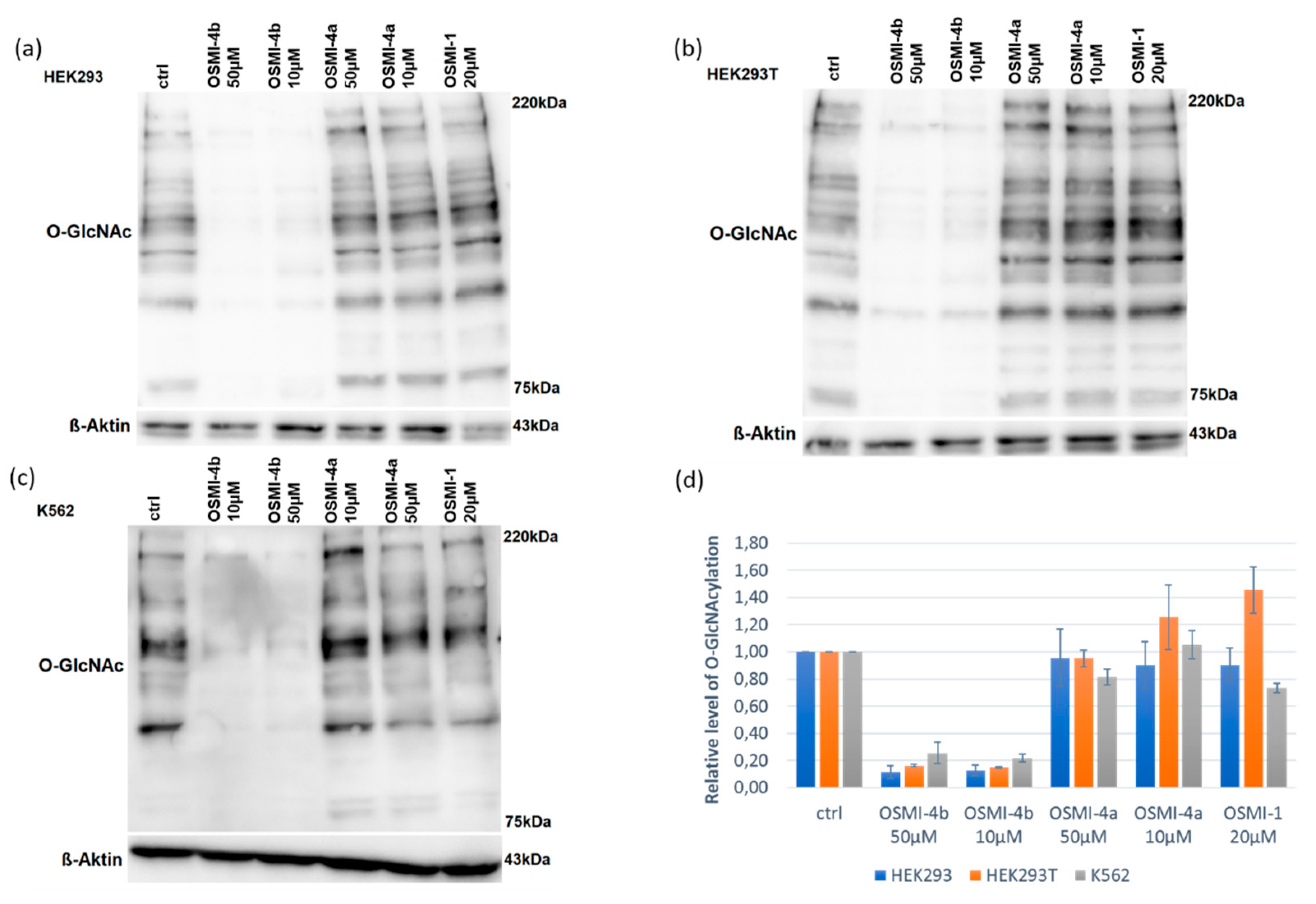 Molecules 25 03381 g004