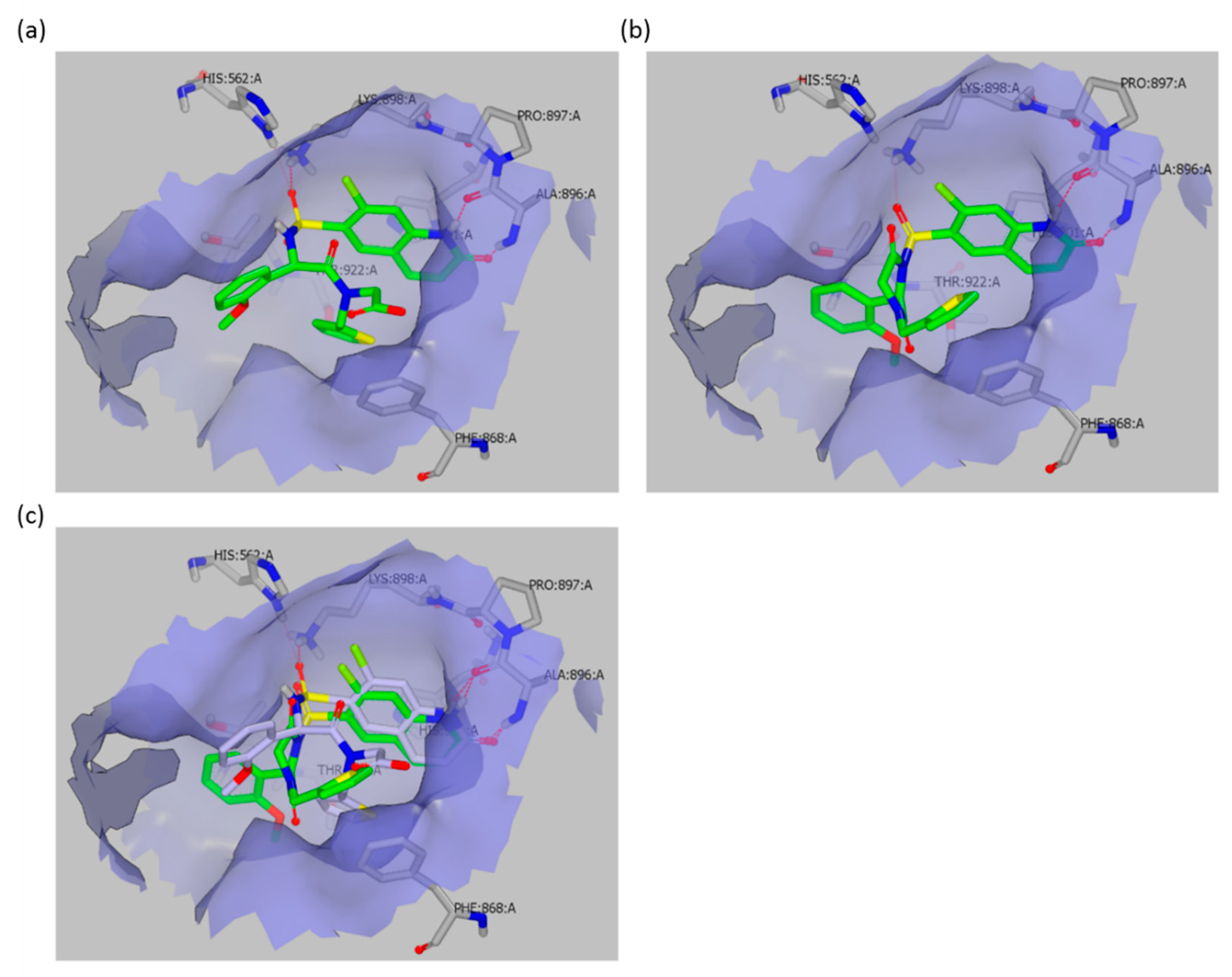 Molecules 25 03381 g005