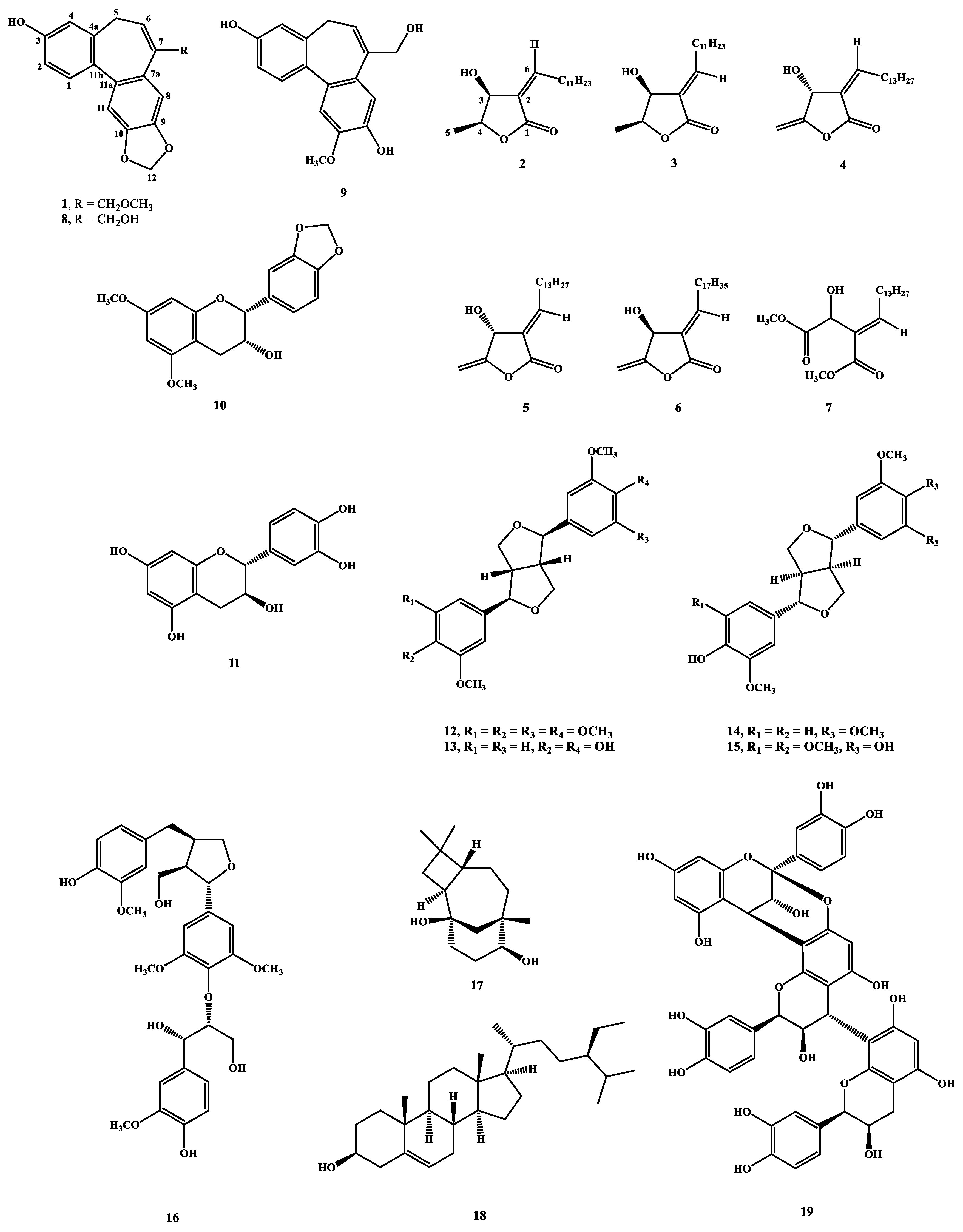 Molecules 25 03382 g001