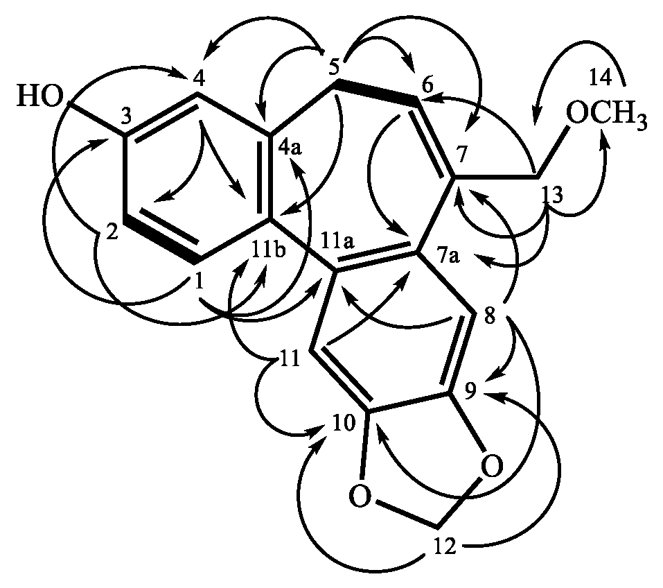 Molecules 25 03382 g002