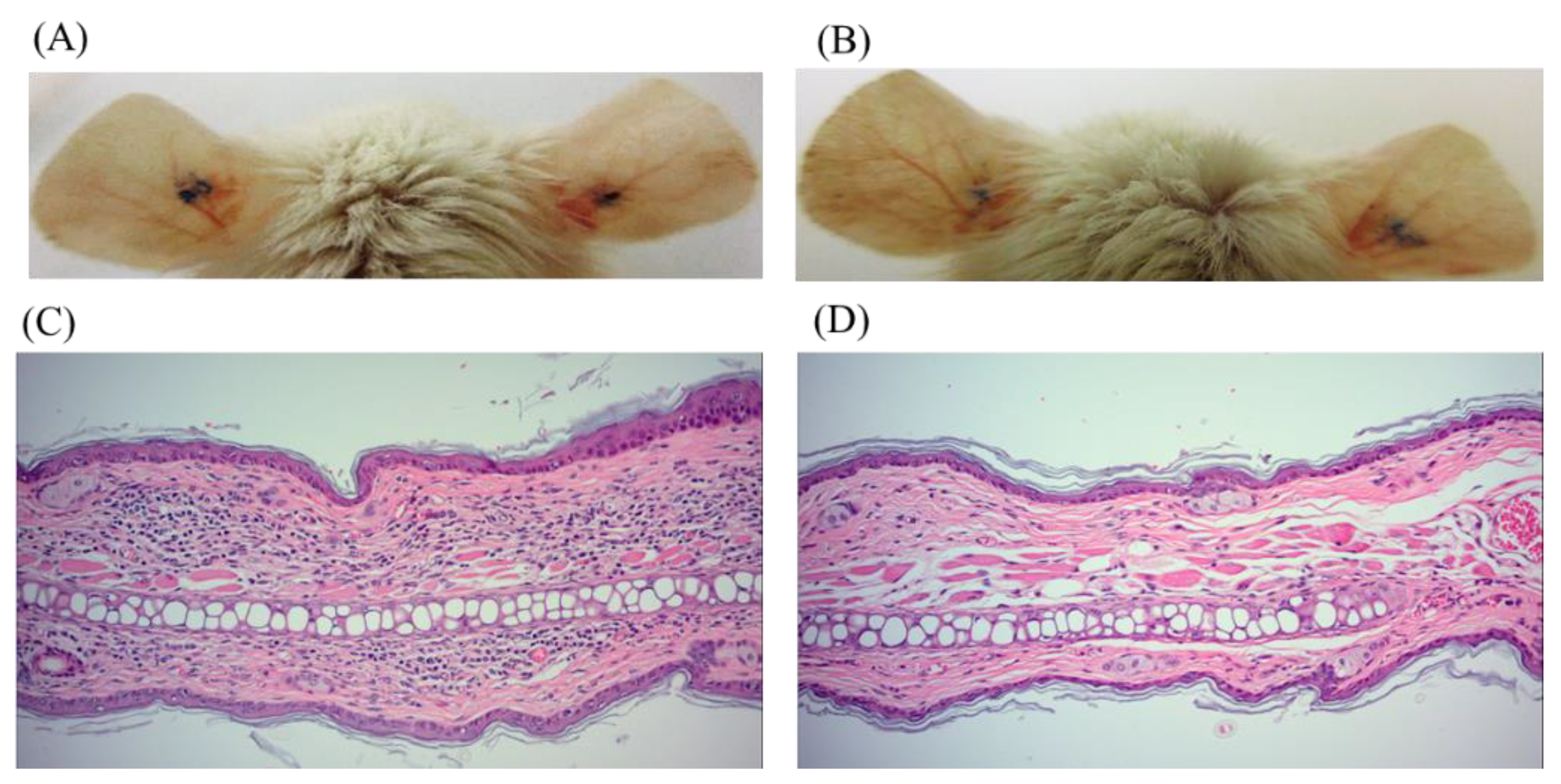 Molecules 25 03382 g003