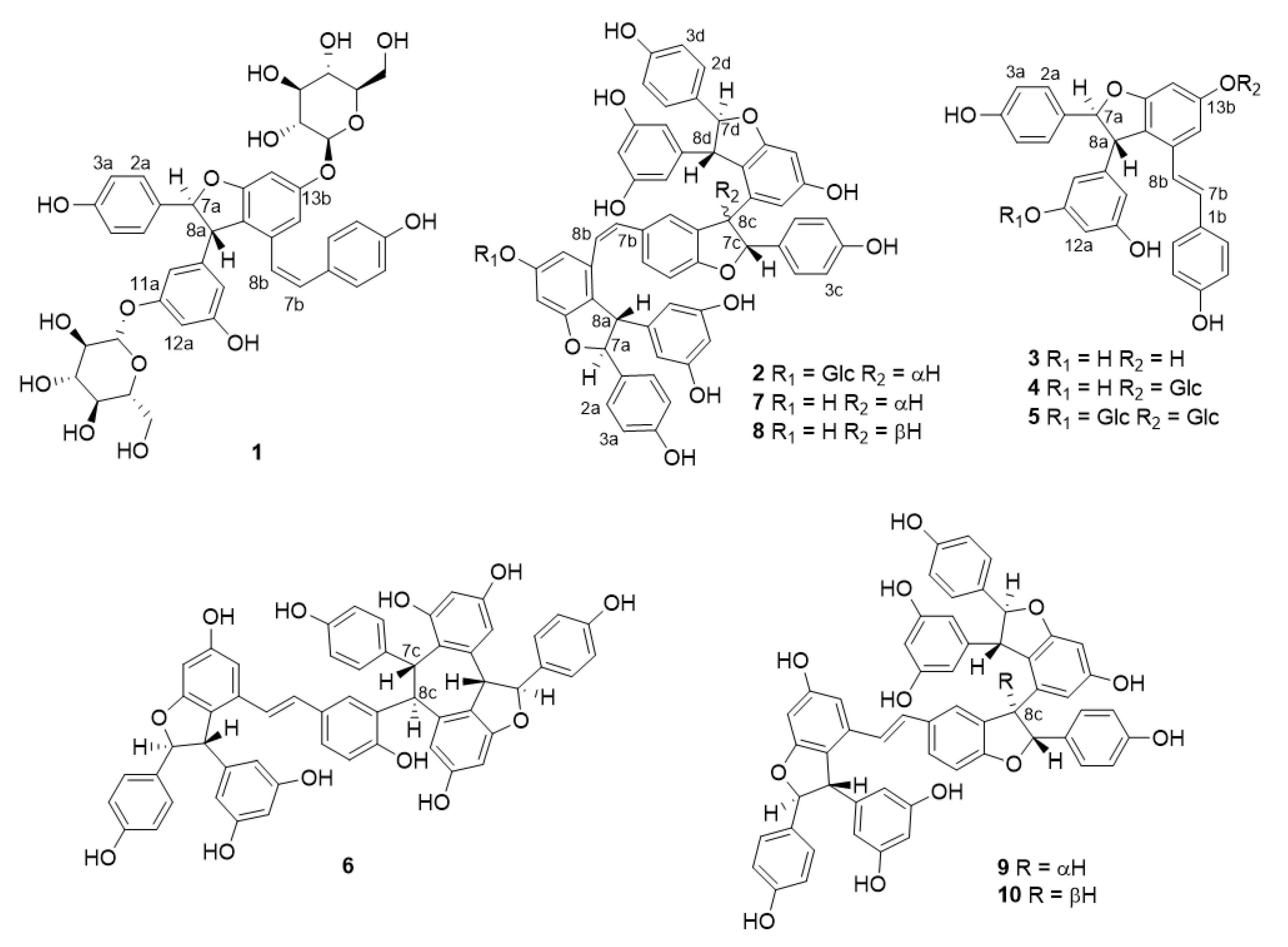 Molecules 25 03383 g004 Molecules 25 03383 g004