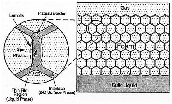 Effects of Foam Microbubbles on Electrical Resistivity and Capillary ...