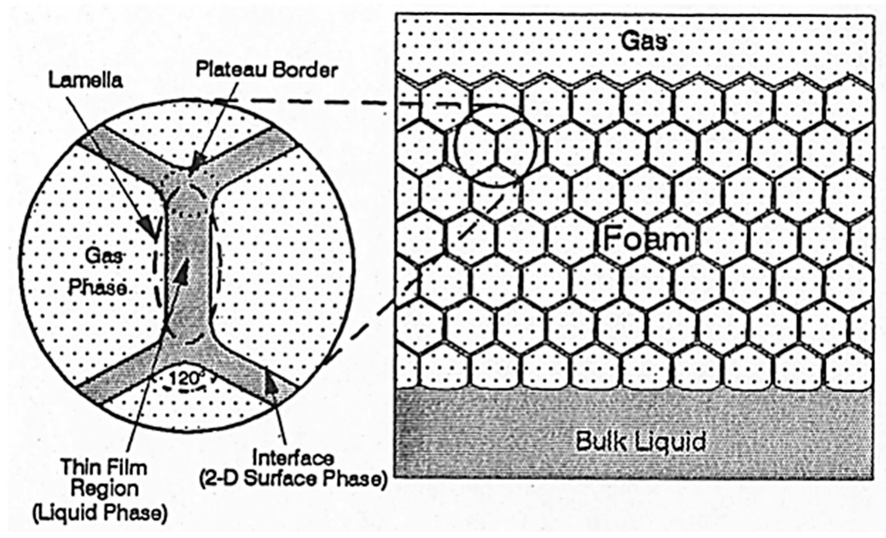 Molecules 25 03385 g002 Molecules 25 03385 g002