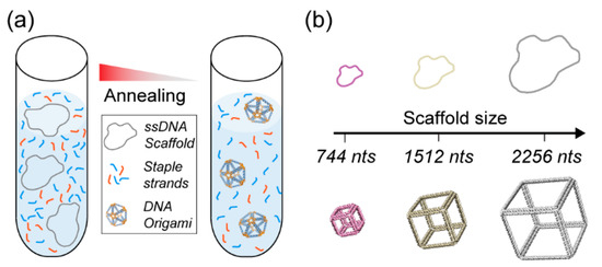 Angewandte Chemie International Edition: Vol 58, No 6