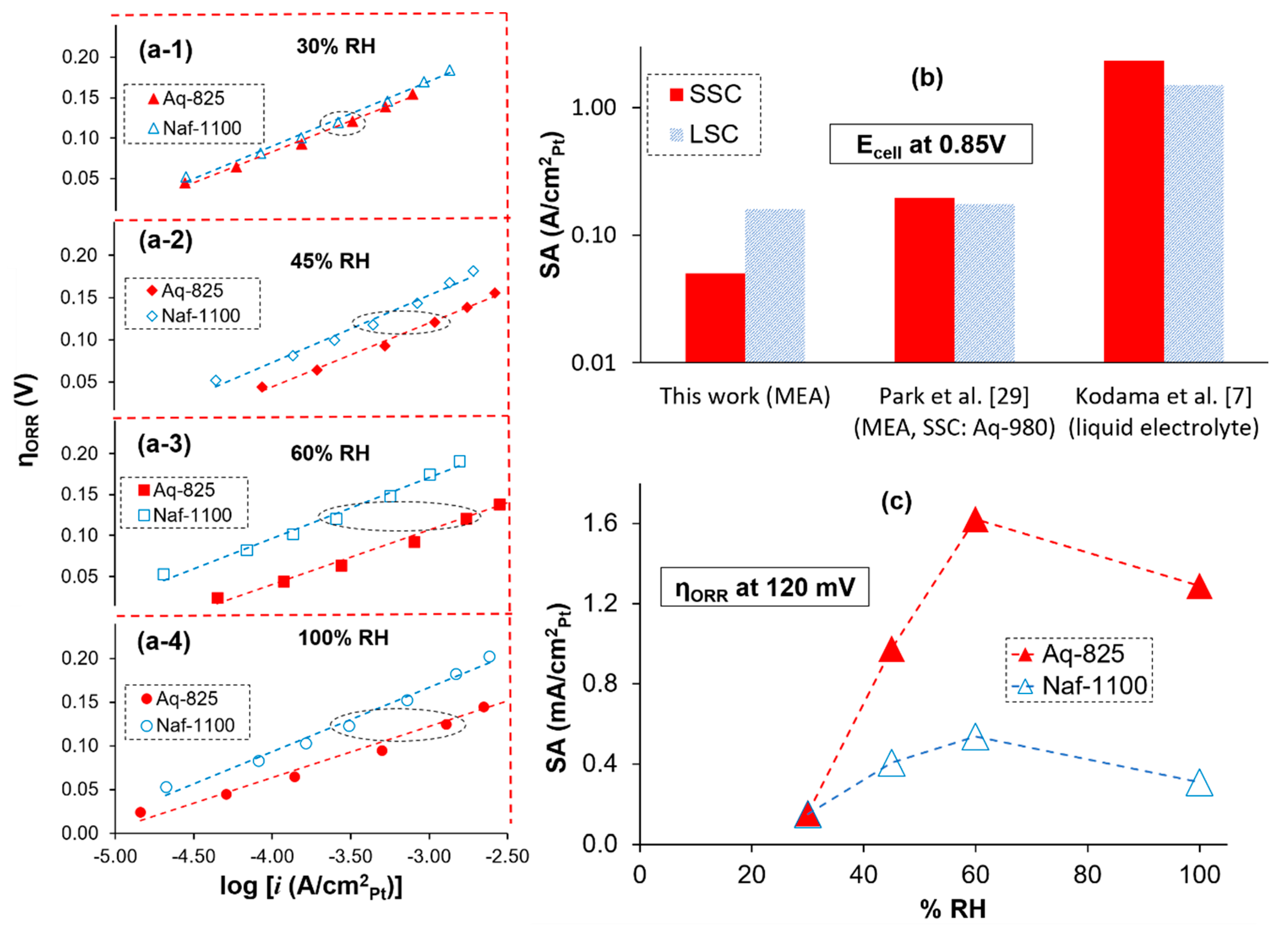 Molecules 25 03387 g003 Molecules 25 03387 g003